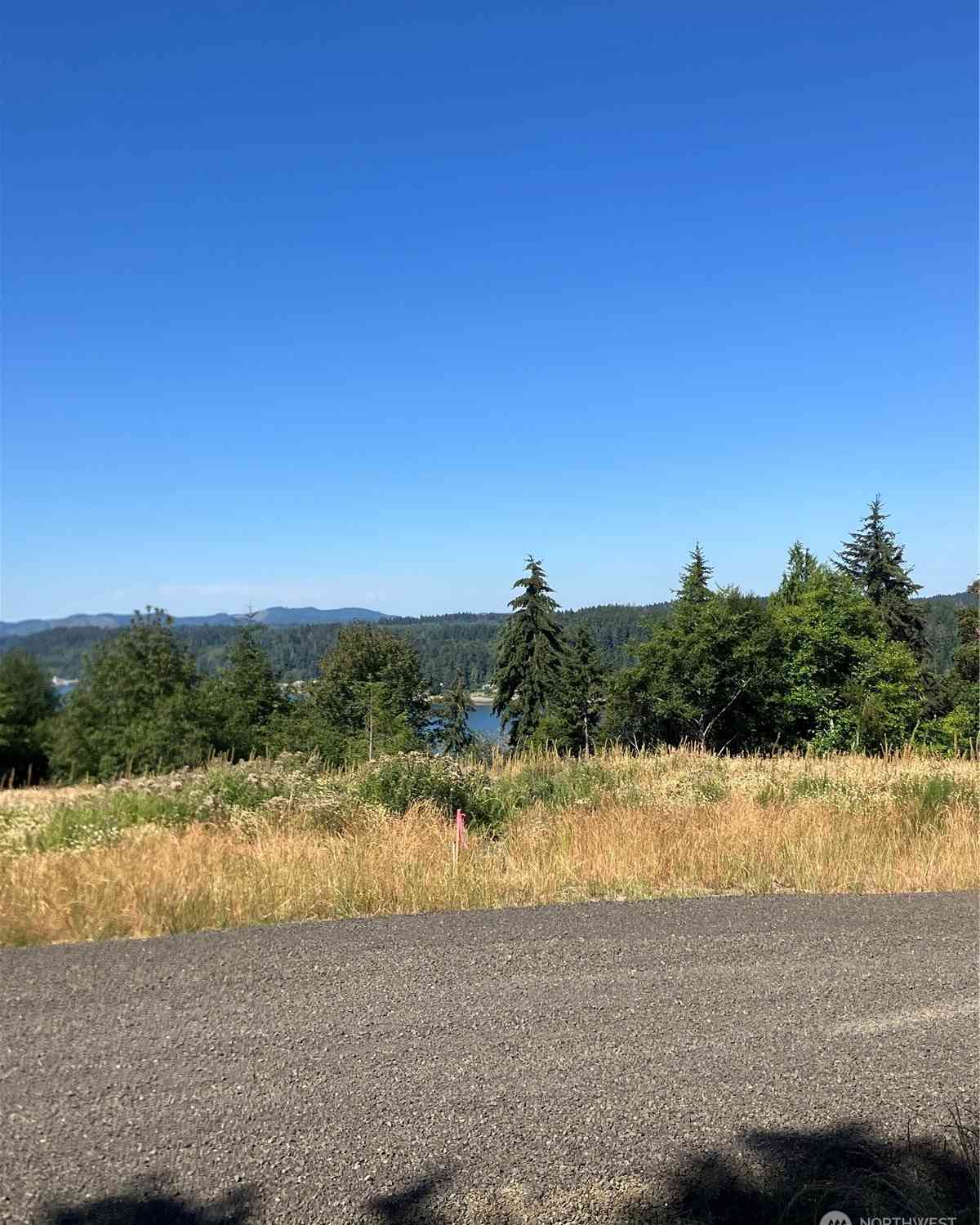 3 E Lone Fir Drive Drive #DIV 2, Shelton, Washington image 1