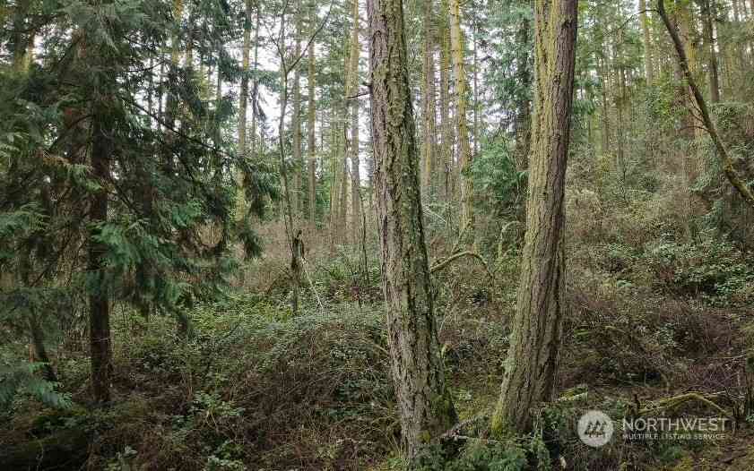 4250 Cleveland St, Port Townsend, Washington image 4