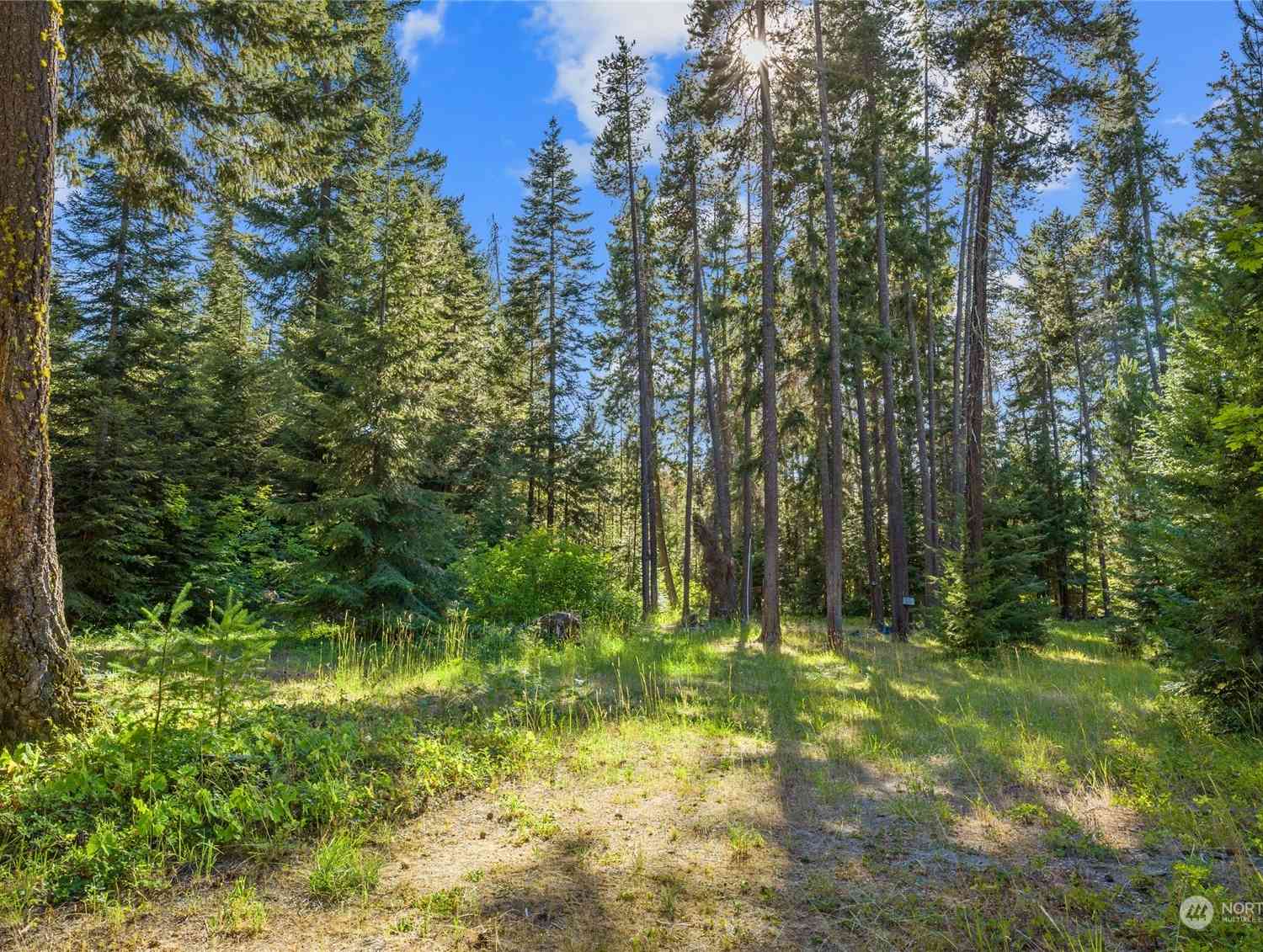 730 Tall Pines Drive, Cle Elum, Washington image 18