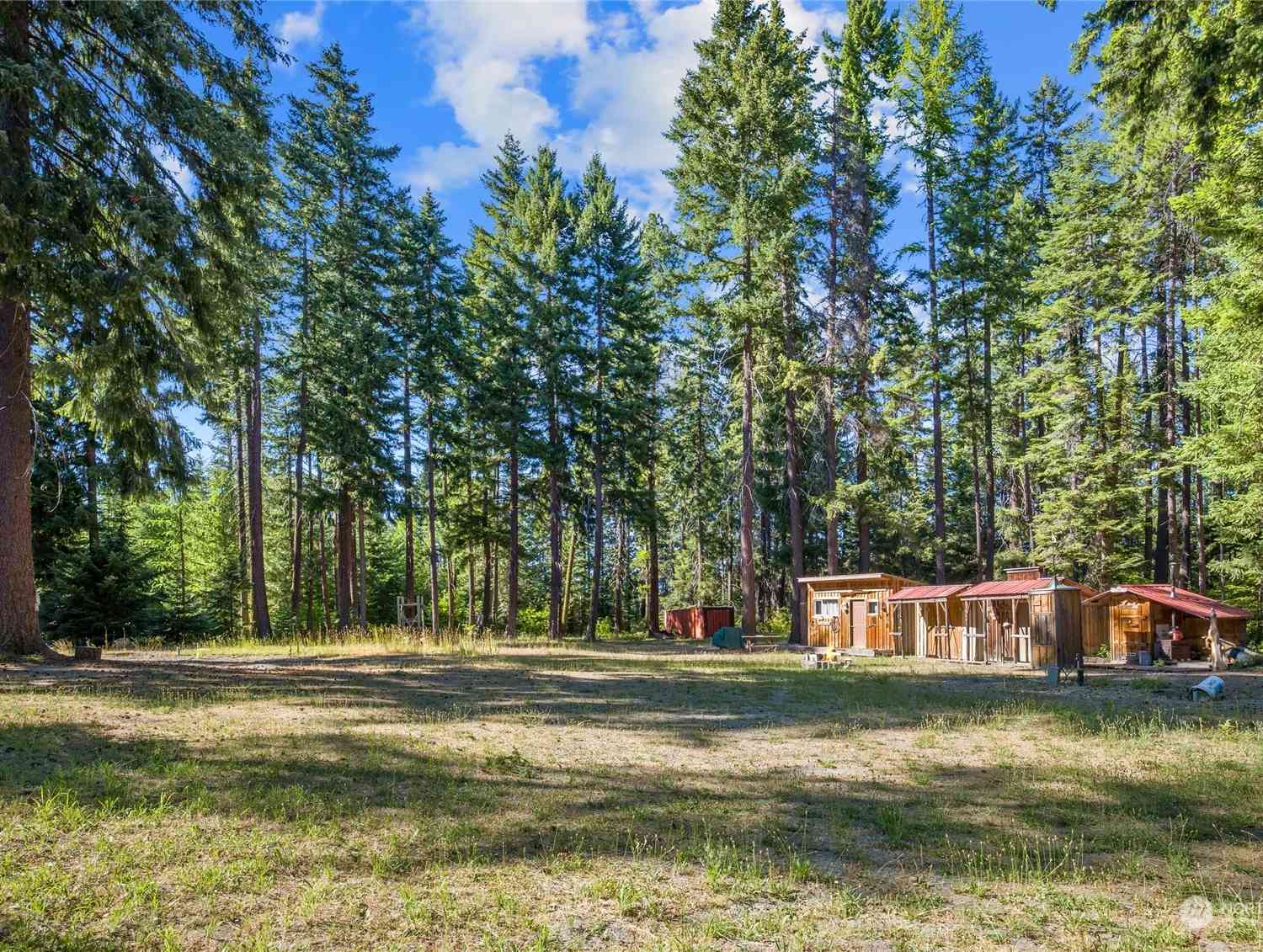 730 Tall Pines Drive, Cle Elum, Washington image 5