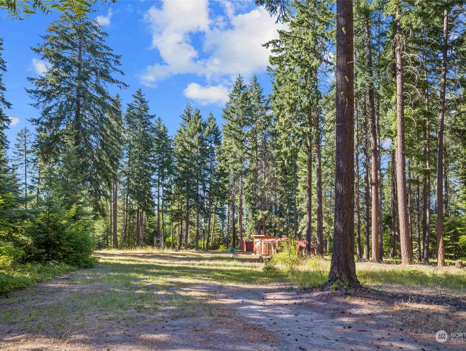 730 Tall Pines Drive, Cle Elum, Washington image 3