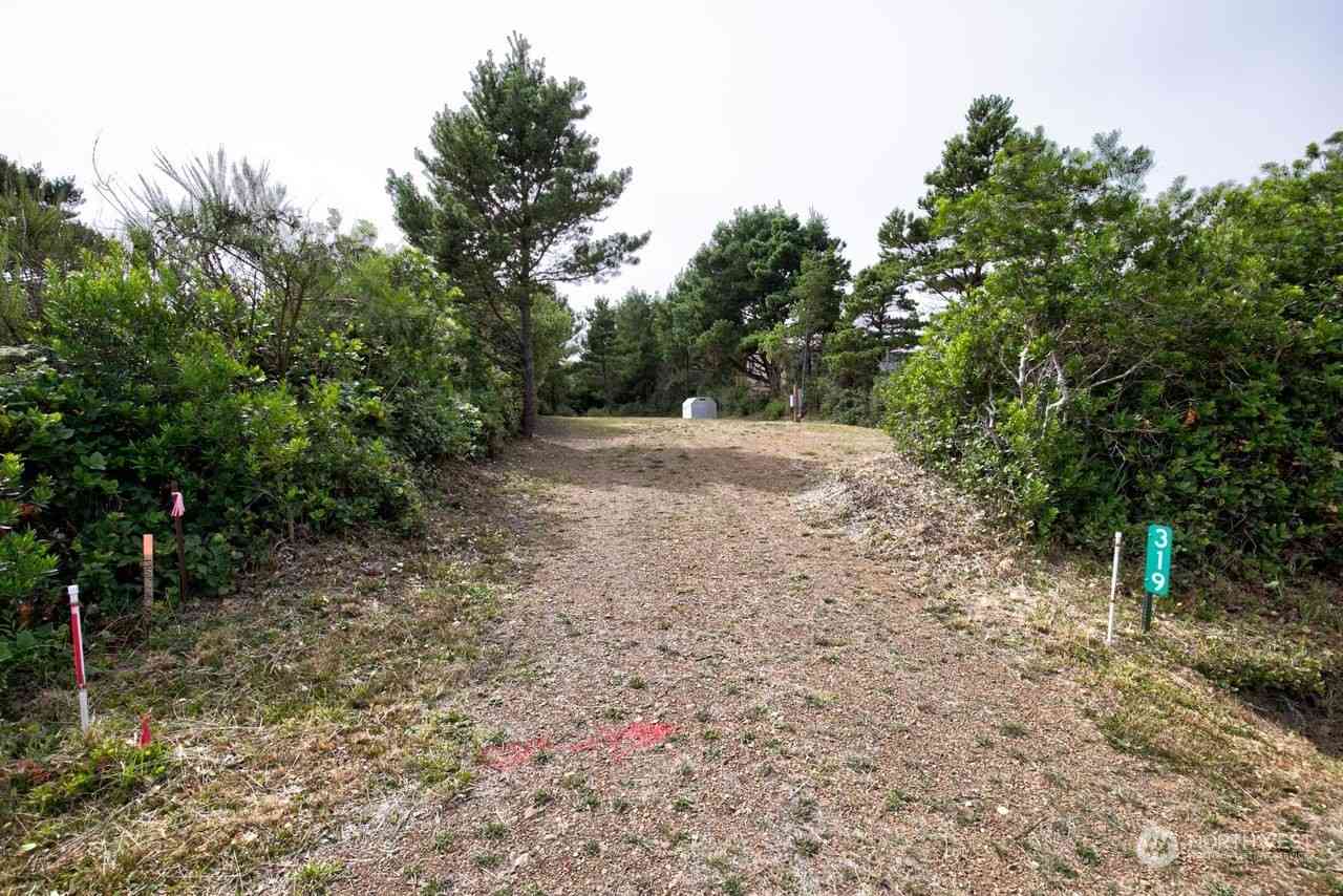 319 Sand Dune Avenue, Ocean Shores, Washington image 3