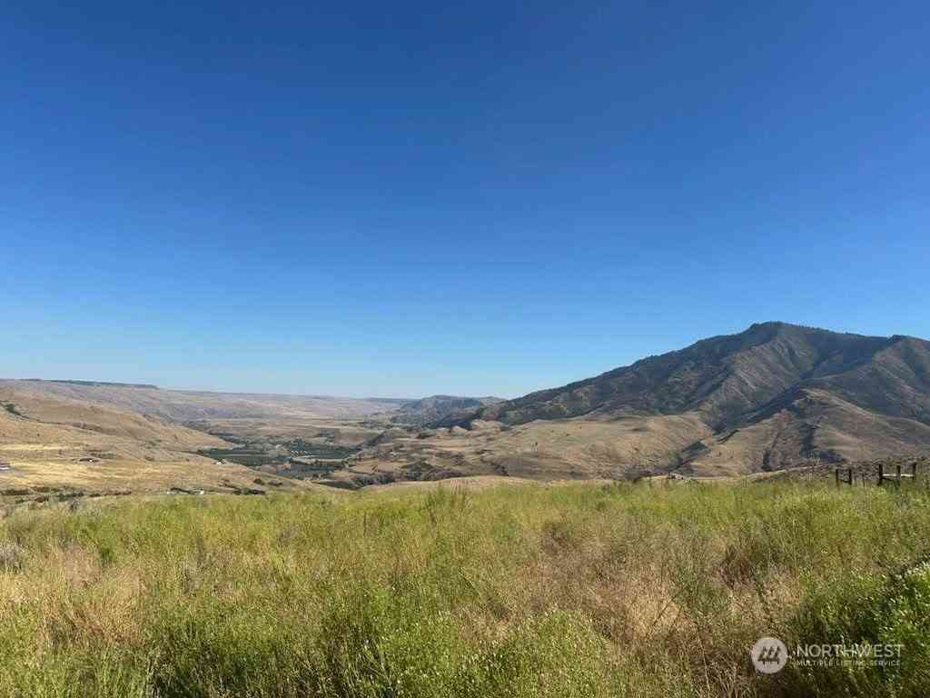 Curly Horse Drive, Pateros, Washington image 9