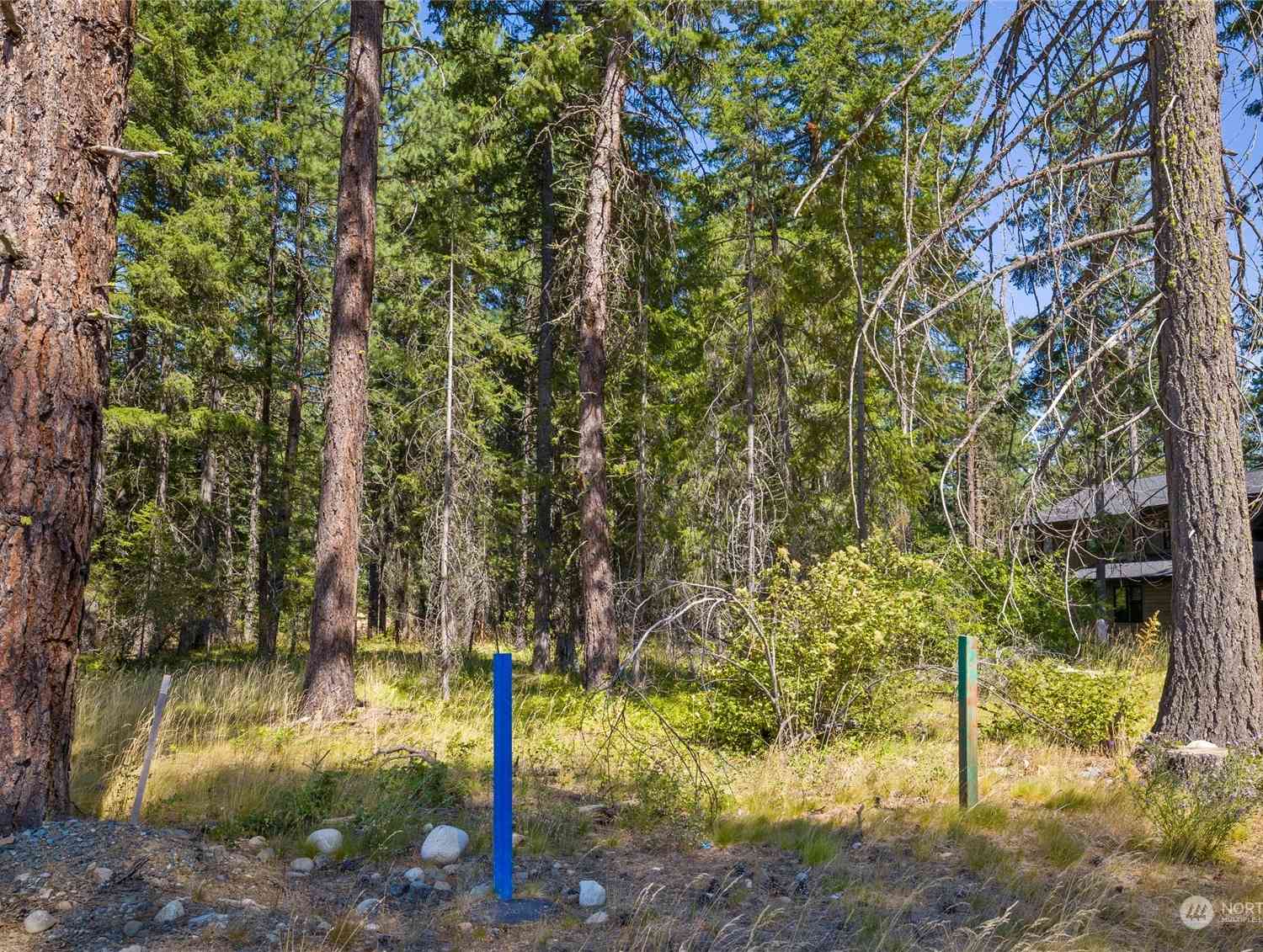 0 Lot 56 Kokanee Loop, Cle Elum, Washington image 1