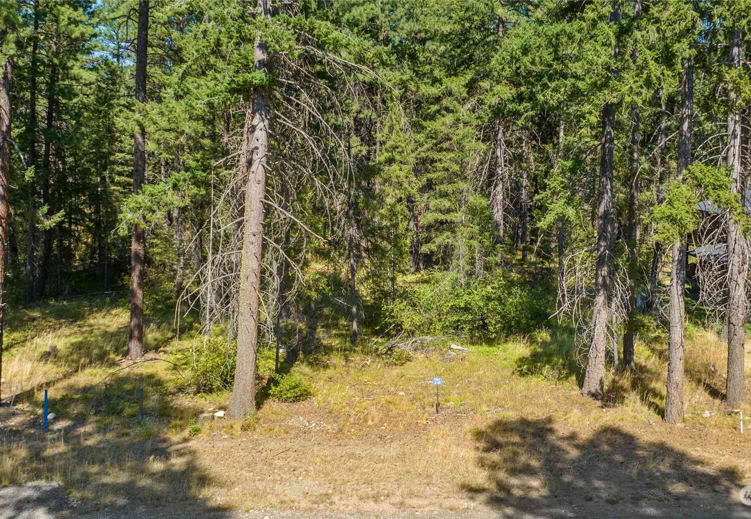 0 Lot 56 Kokanee Loop, Cle Elum, Washington image 4