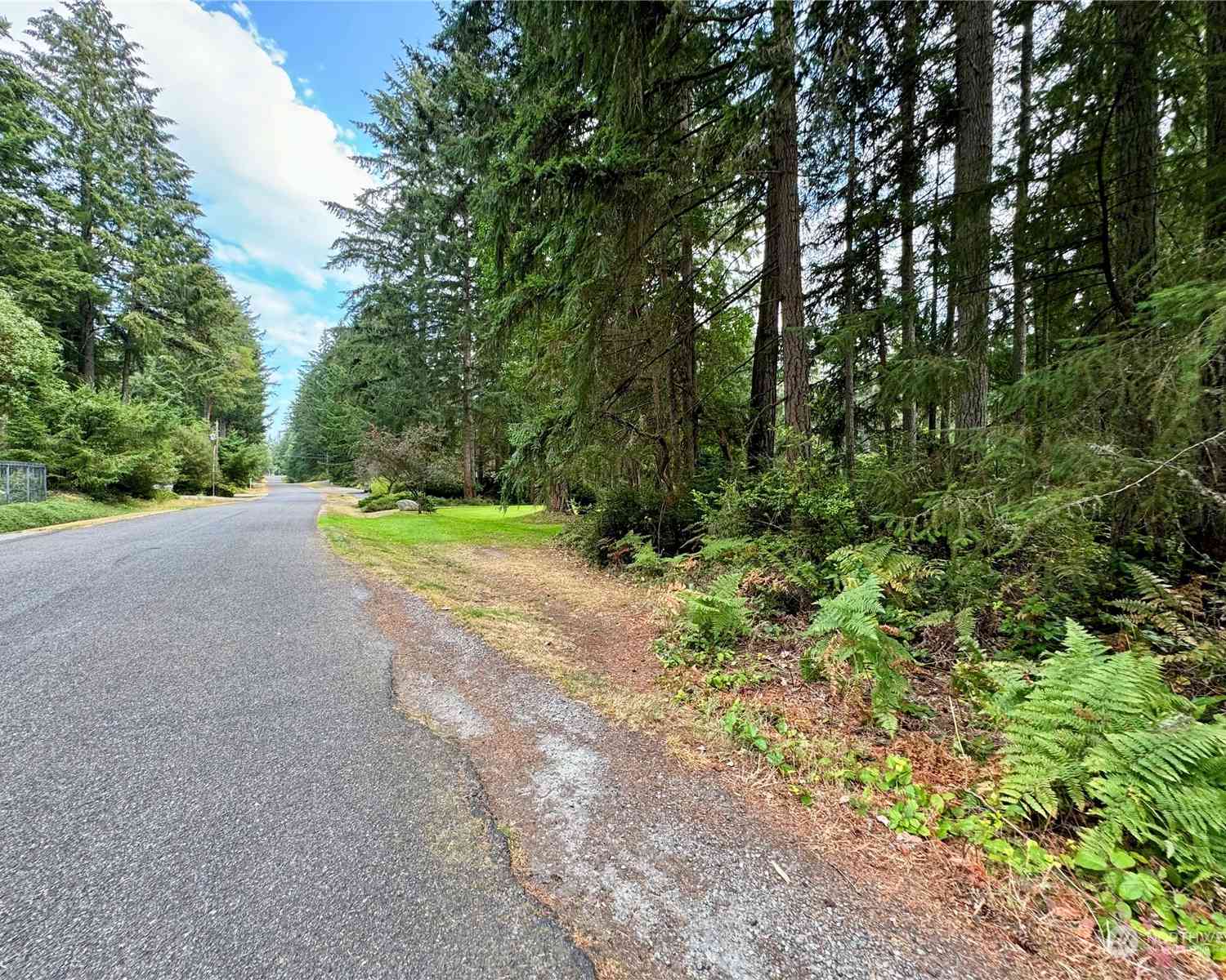 10505 Tahoma Drive, Anderson Island, Washington image 9