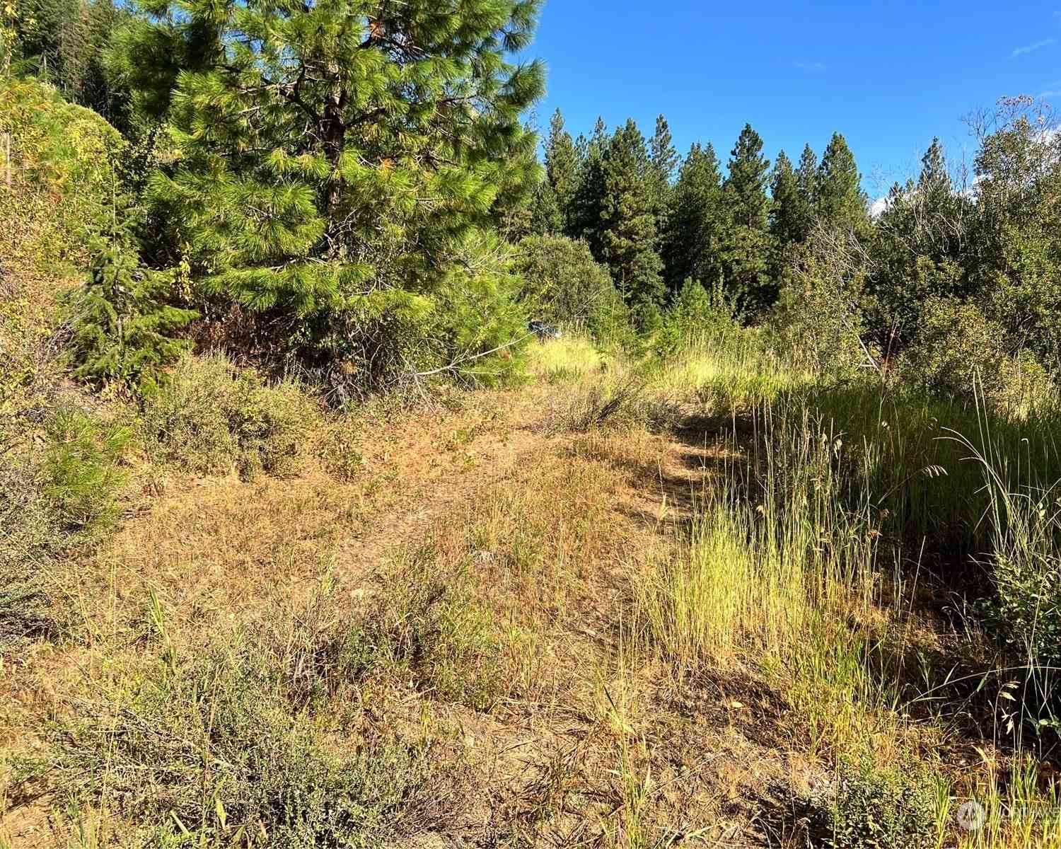 Juneberry Lane, Leavenworth, Washington image 21