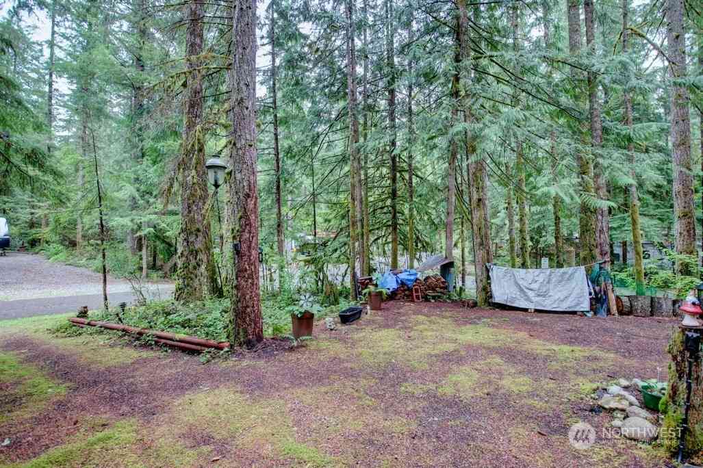 60 2 Wilderness Way, Deming, Washington image 2