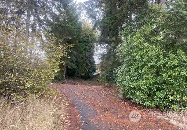 4912 200th Street, Spanaway, Washington image 3