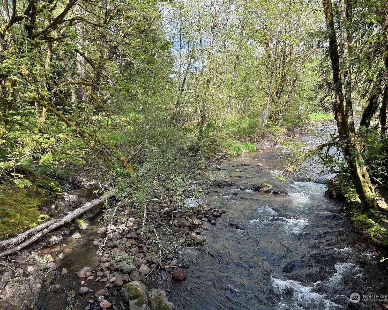 Germany Creek Road, Longview, Washington image 3