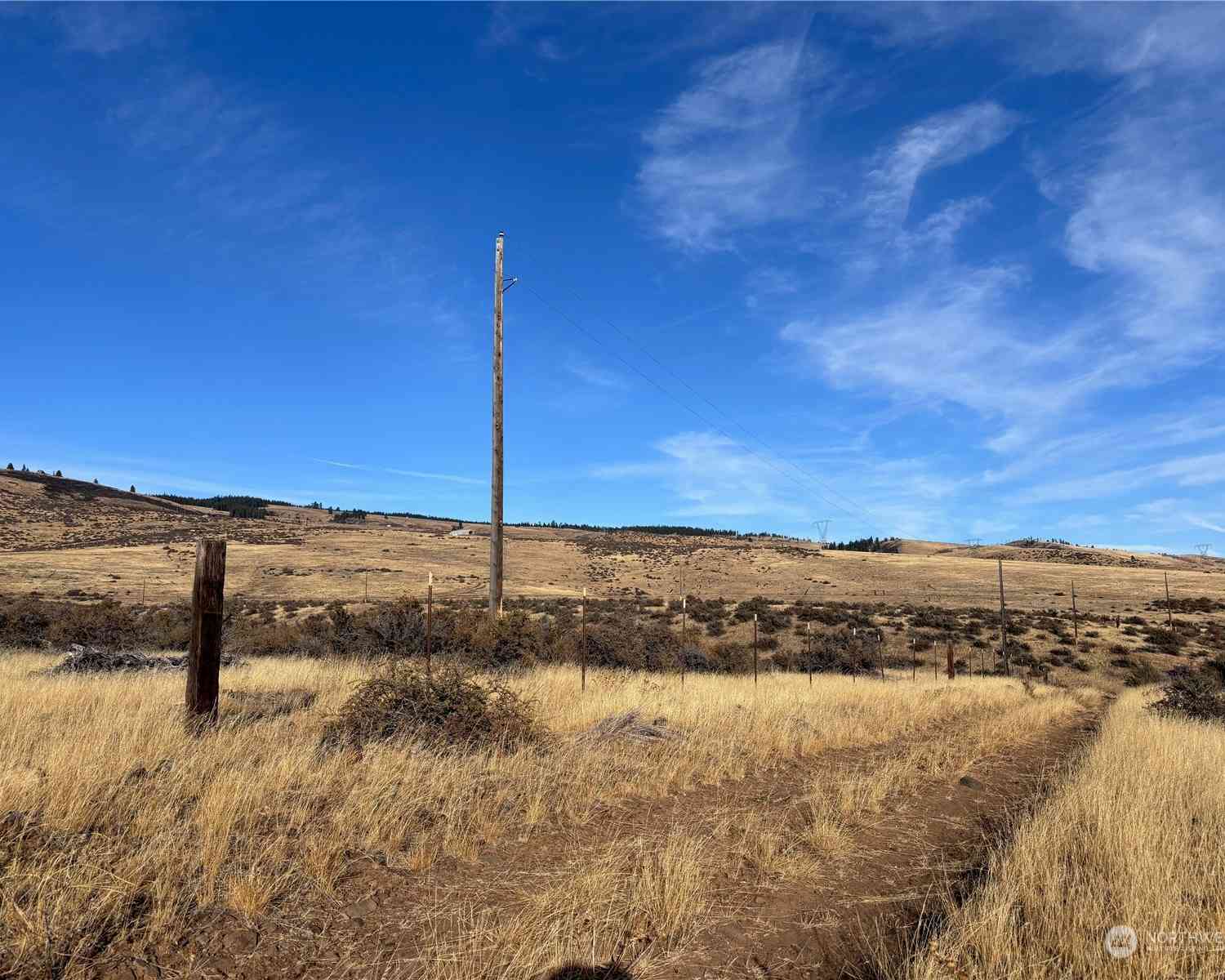 3060 Pheasant Lane, Ellensburg, Washington image 9