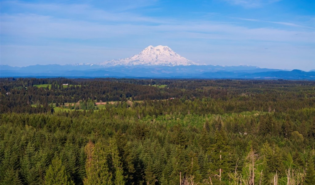 7024 Nanitch Lane, Tenino, Washington image 9