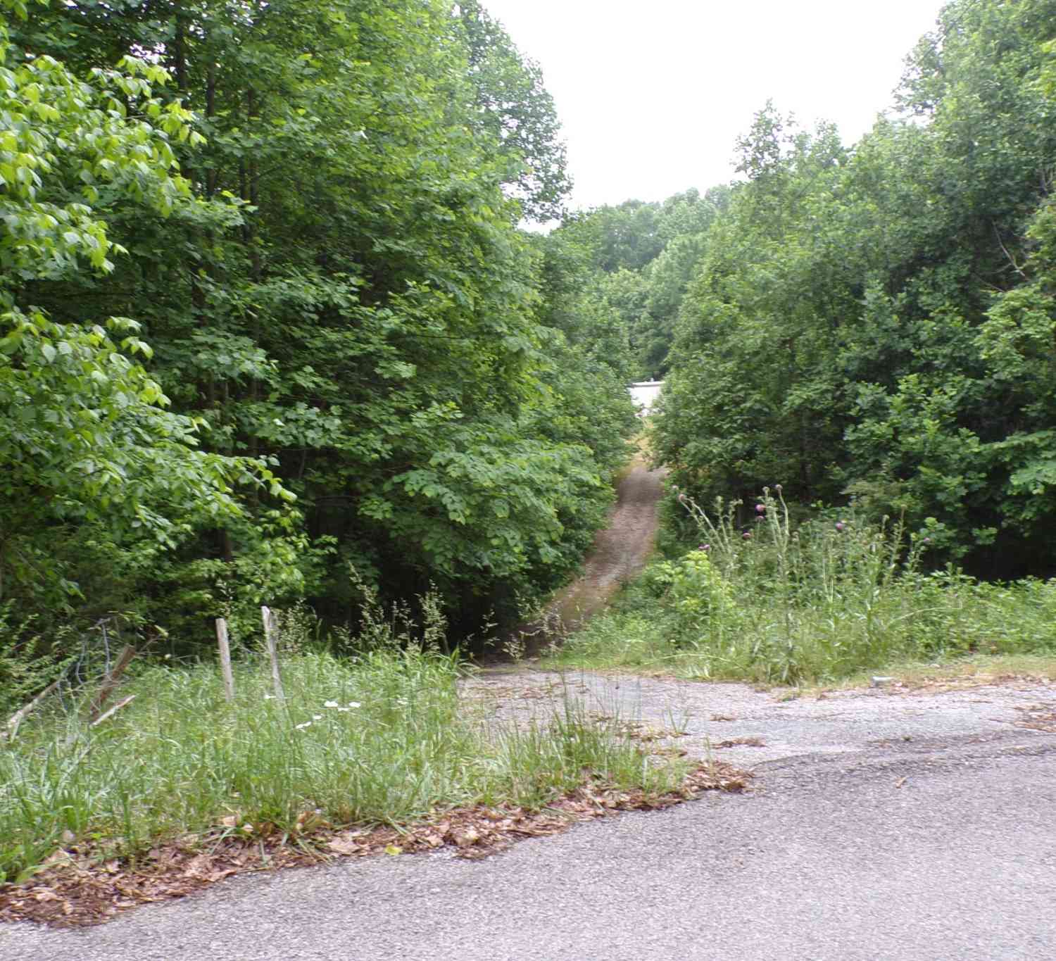 226 Sands Hollow Rd, Pulaski, Tennessee image 3