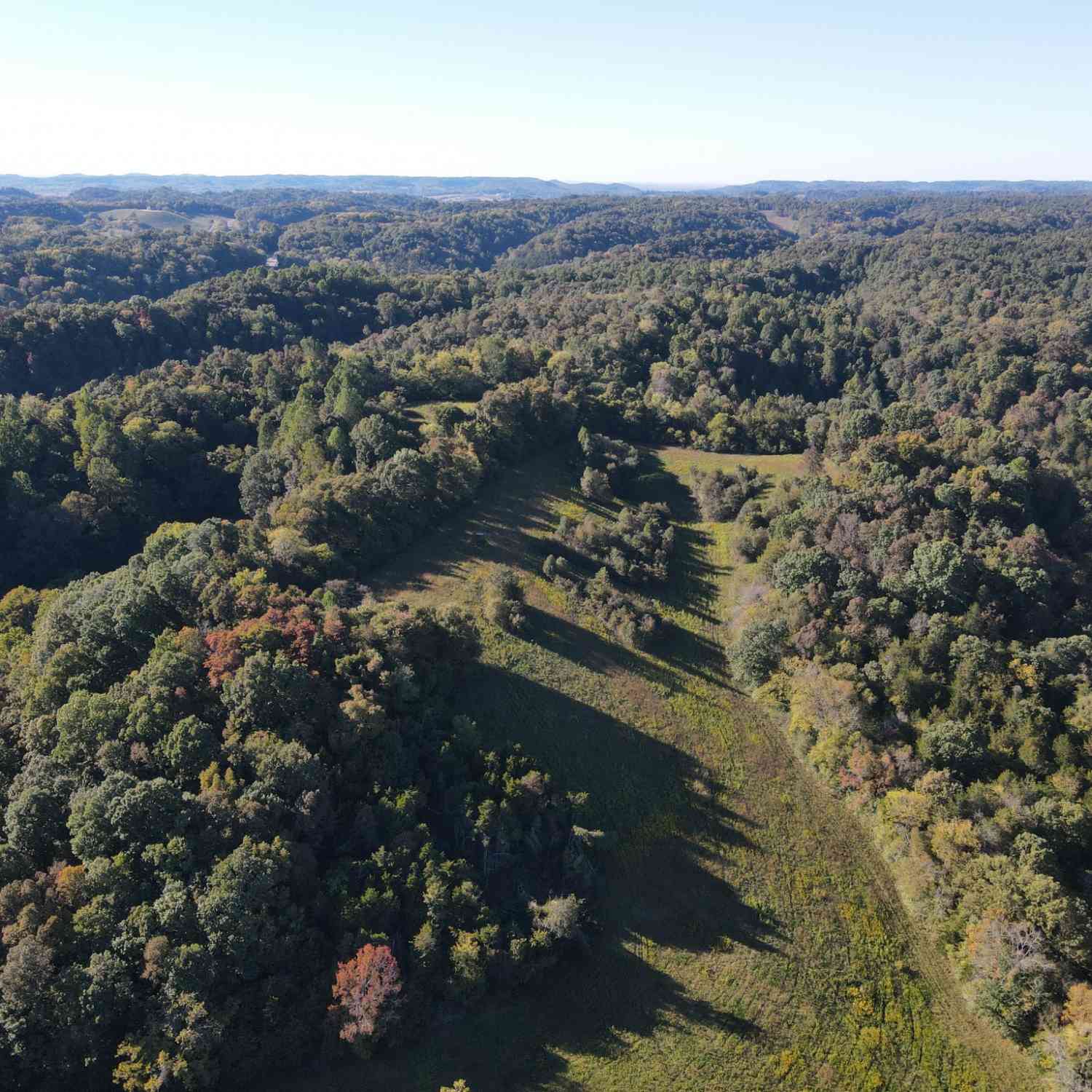 Noah, Beechgrove, Tennessee image 2