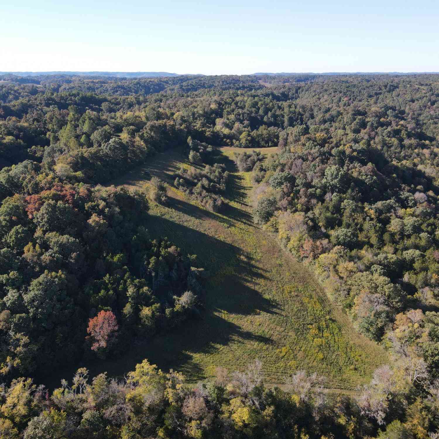 Noah, Beechgrove, Tennessee image 3