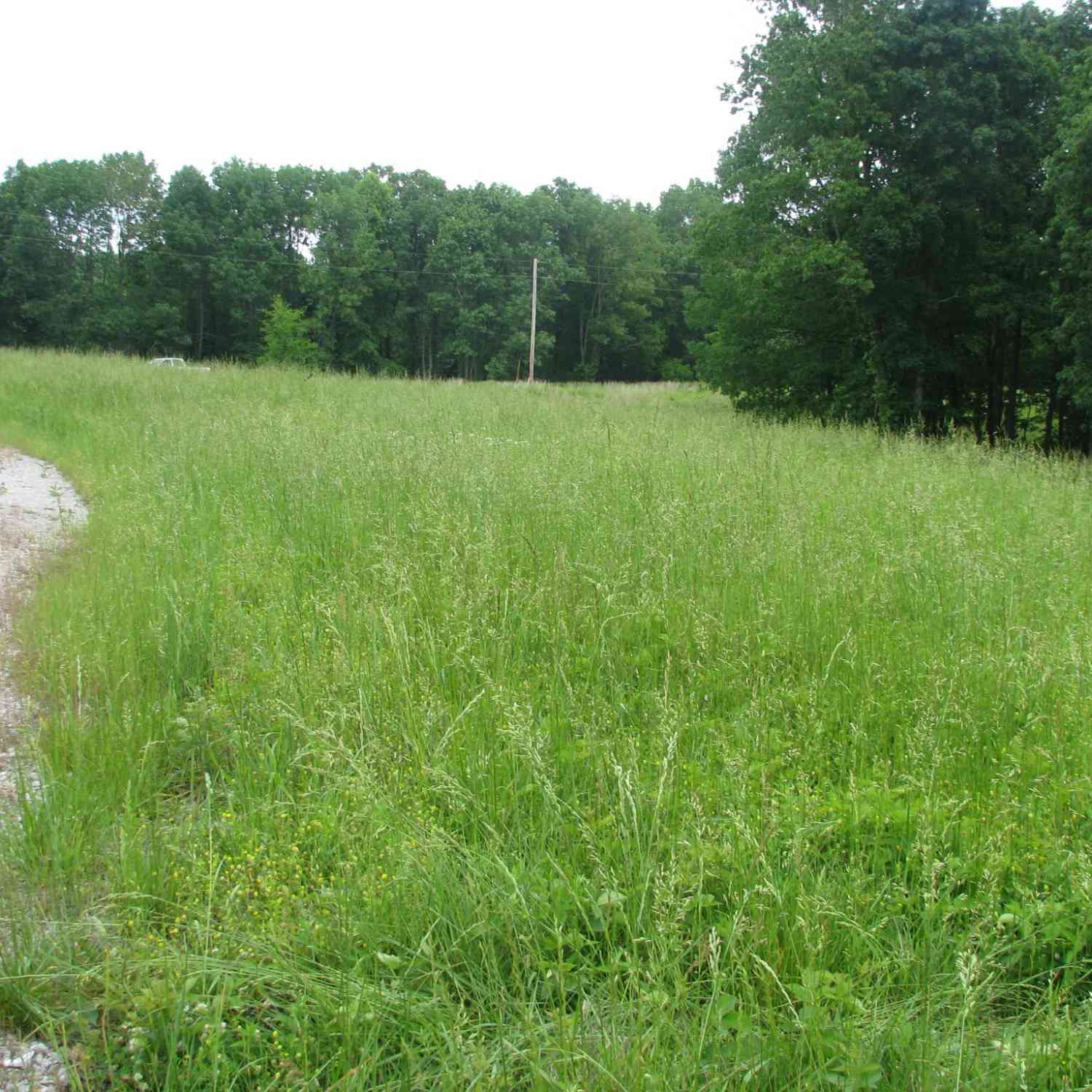 Barge Lane, Waverly, Tennessee image 9