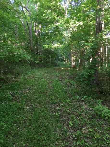 Gravely Hill Rd, Bethpage, Tennessee image 6