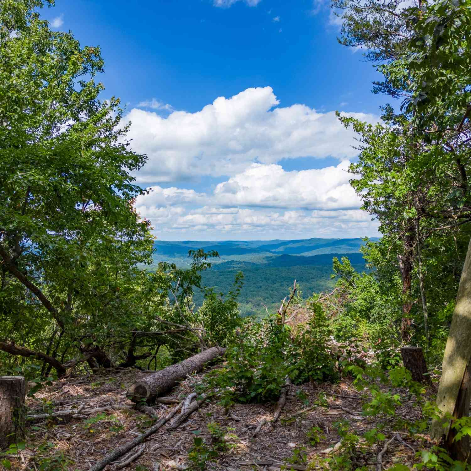 The Bluffs At The Ridge, Sparta, Tennessee image 3