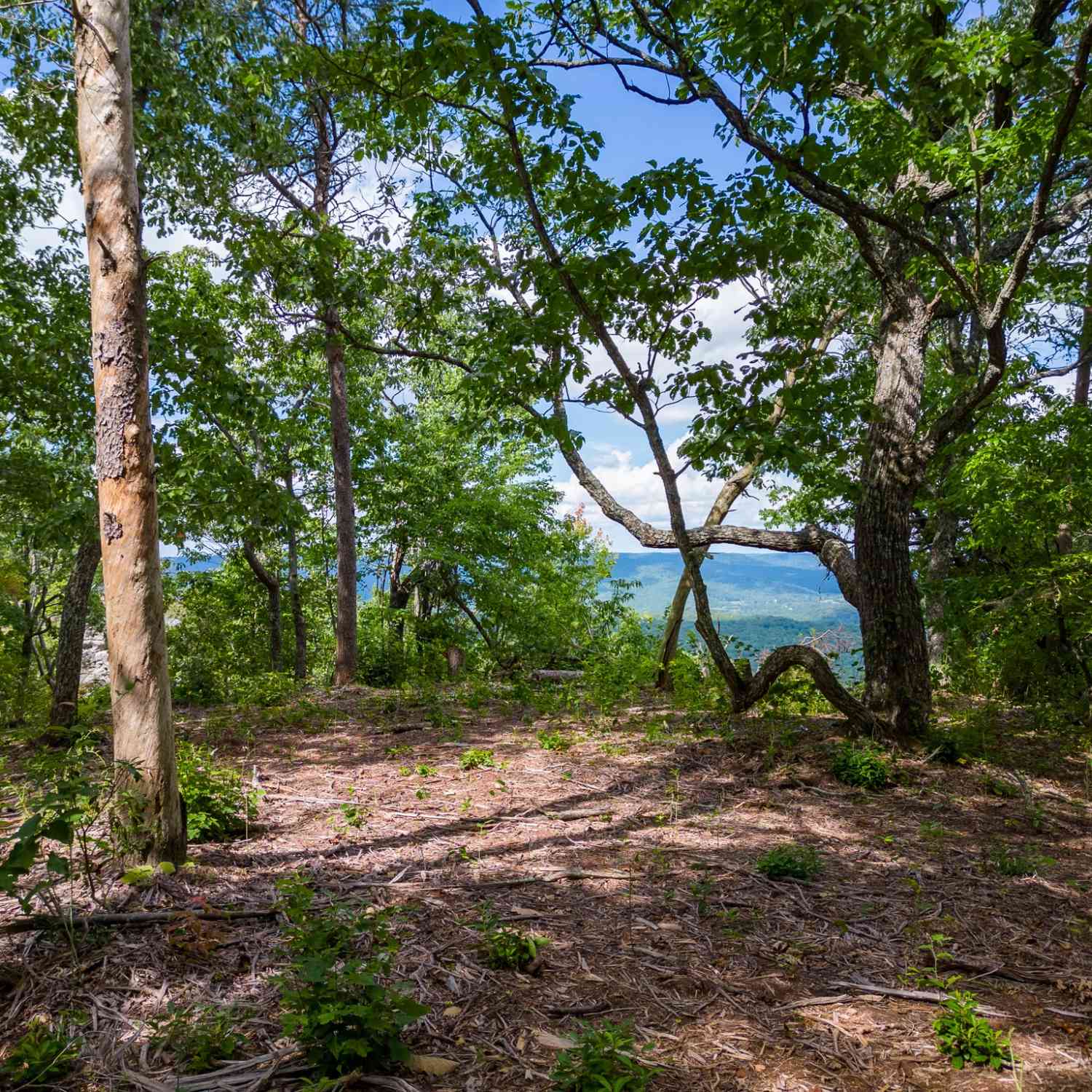 The Bluffs At The Ridge, Sparta, Tennessee image 7