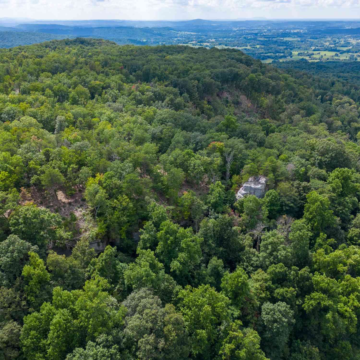 The Bluffs At The Ridge, Sparta, Tennessee image 19