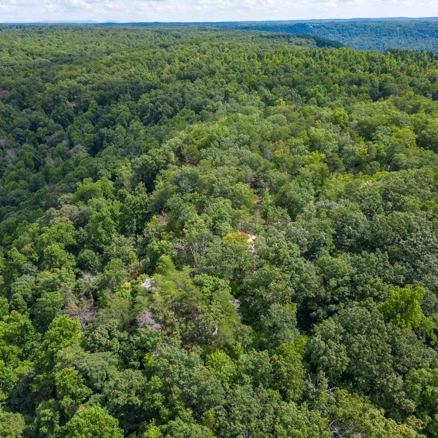 The Bluffs At The Ridge, Sparta, Tennessee image 18