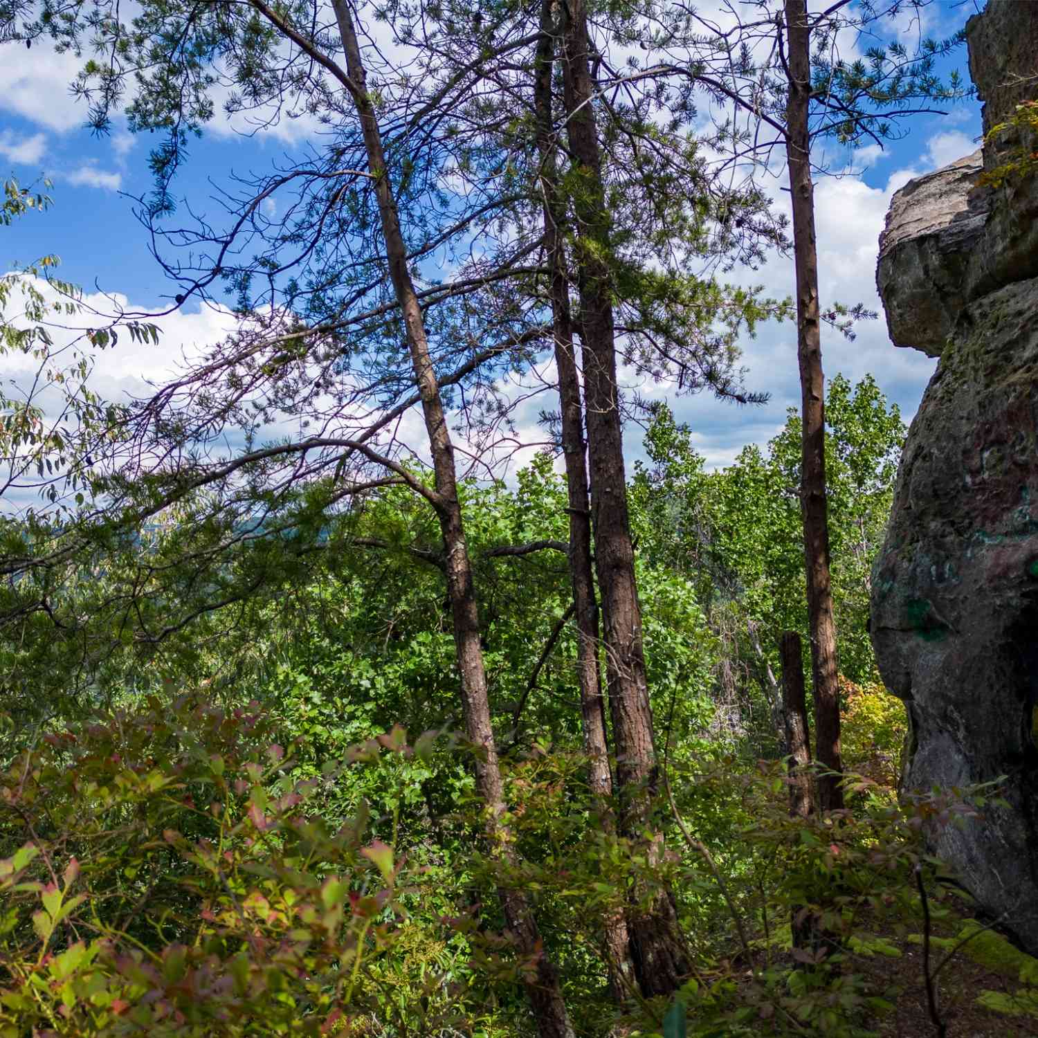 The Bluffs At The Ridge, Sparta, Tennessee image 6