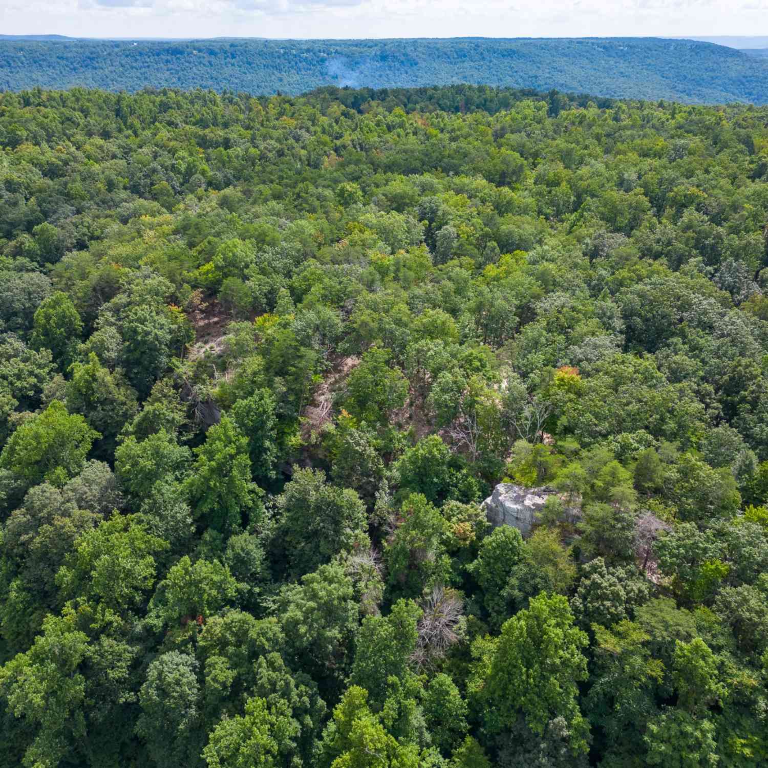 The Bluffs At The Ridge, Sparta, Tennessee image 17