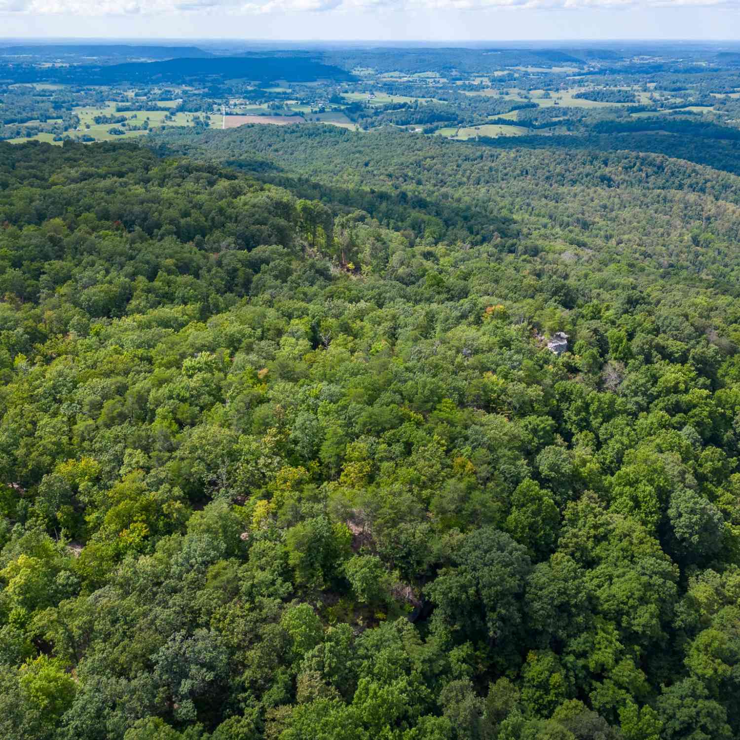 The Bluffs At The Ridge, Sparta, Tennessee image 24