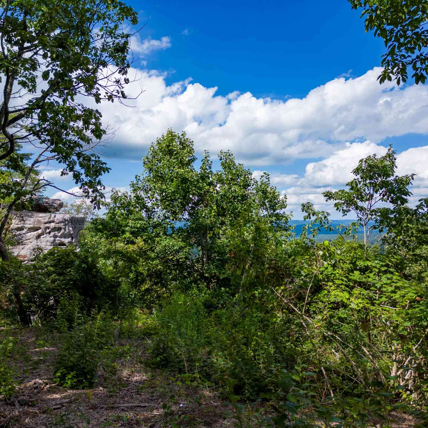 The Bluffs At The Ridge, Sparta, Tennessee image 5