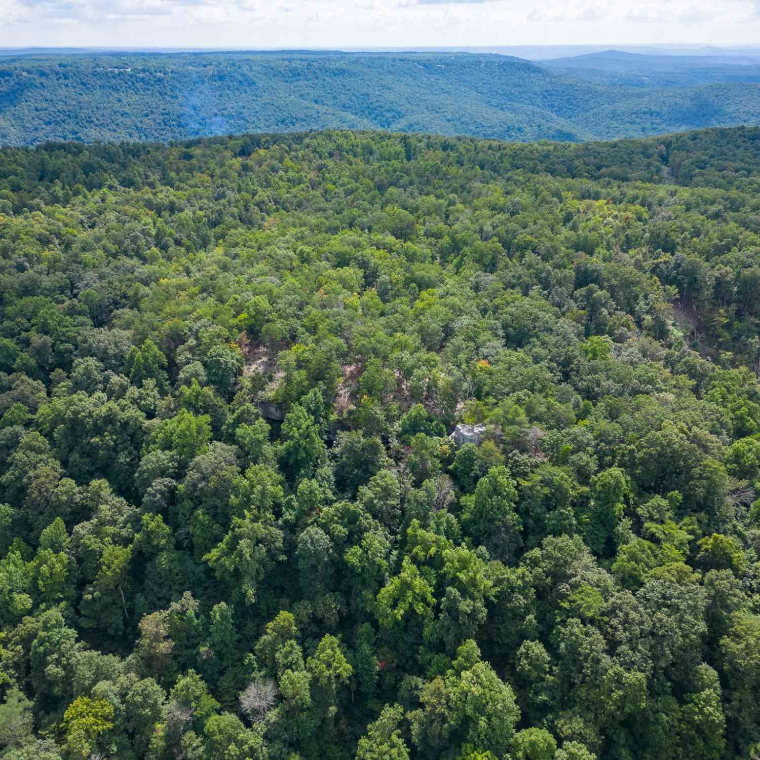 The Bluffs At The Ridge, Sparta, Tennessee image 21