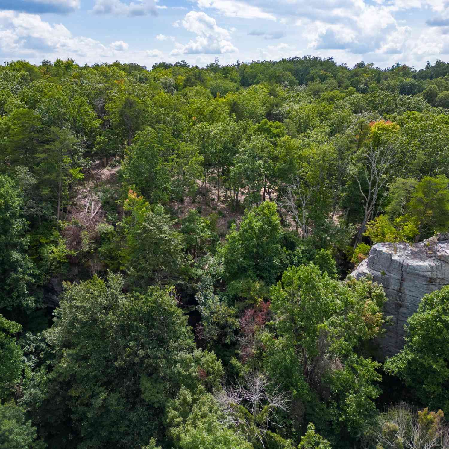 The Bluffs At The Ridge, Sparta, Tennessee image 2