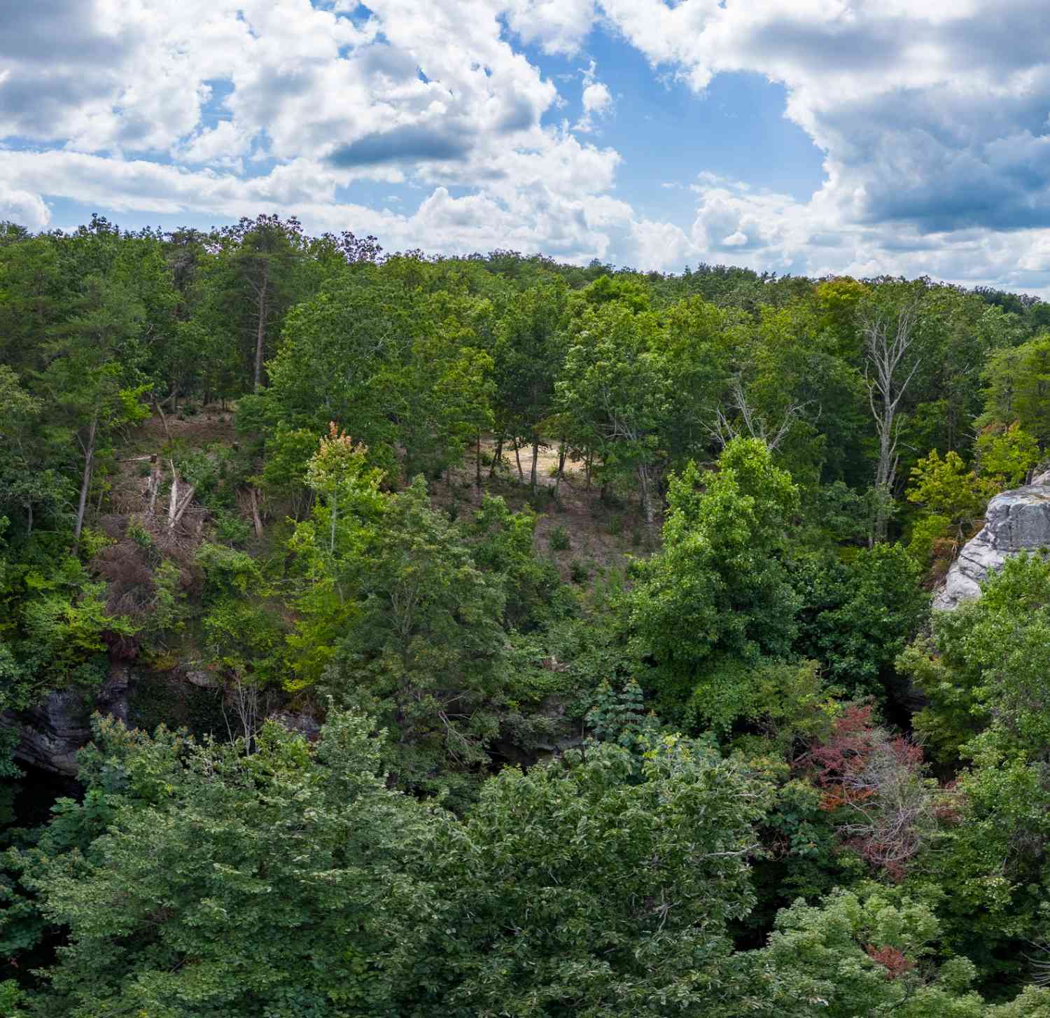 The Bluffs At The Ridge, Sparta, Tennessee image 16