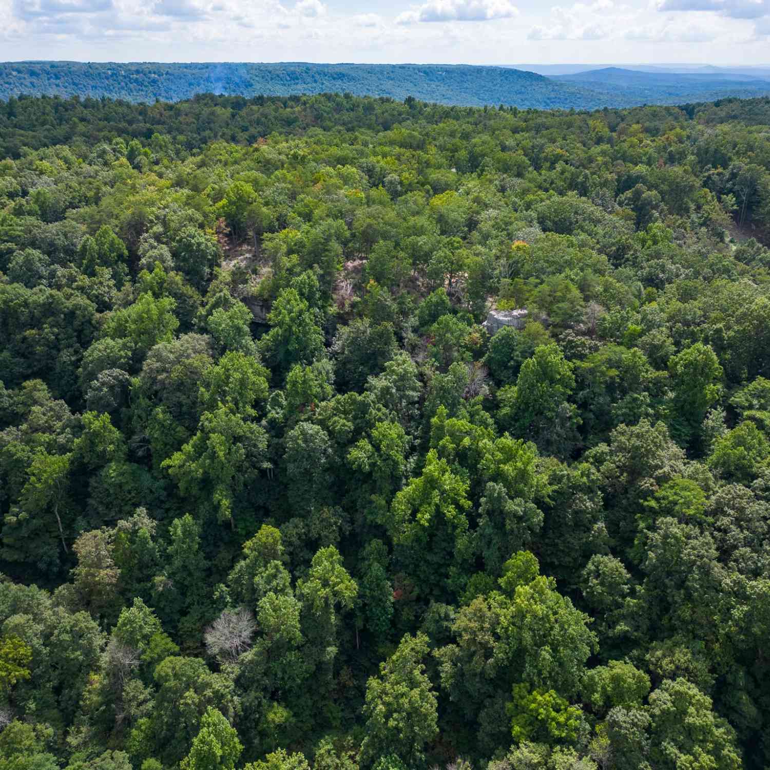 The Bluffs At The Ridge, Sparta, Tennessee image 20