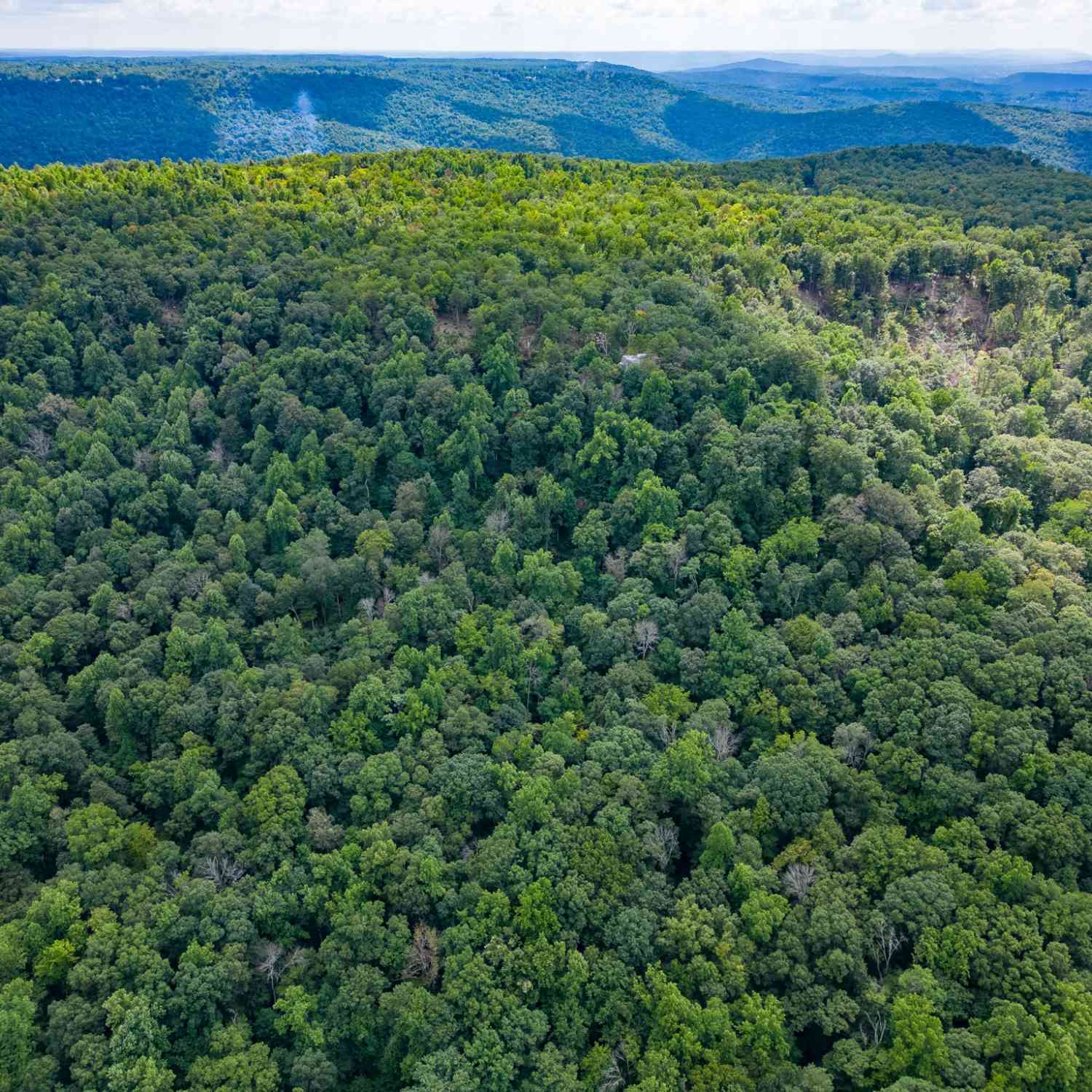 The Bluffs At The Ridge, Sparta, Tennessee image 26