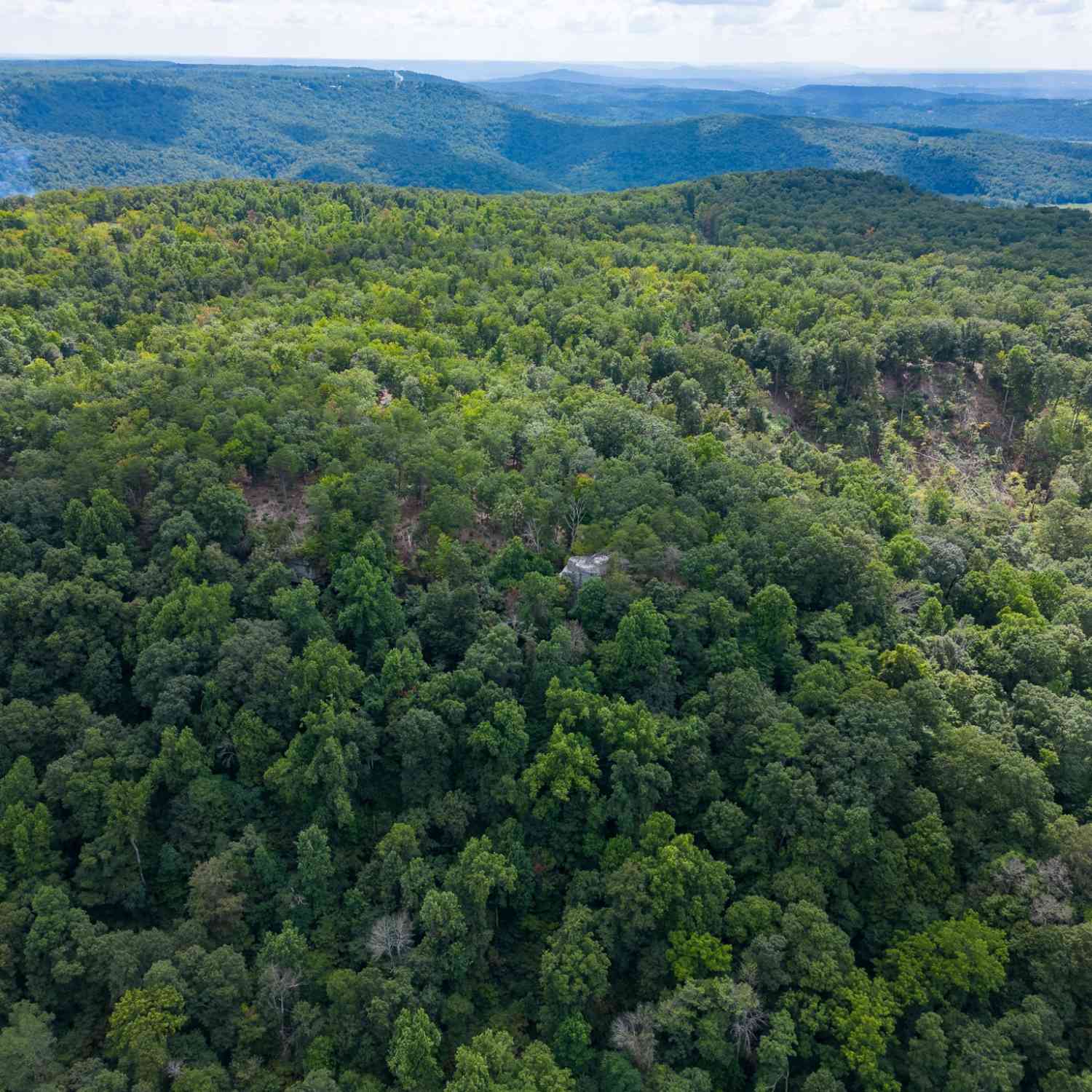 The Bluffs At The Ridge, Sparta, Tennessee image 25