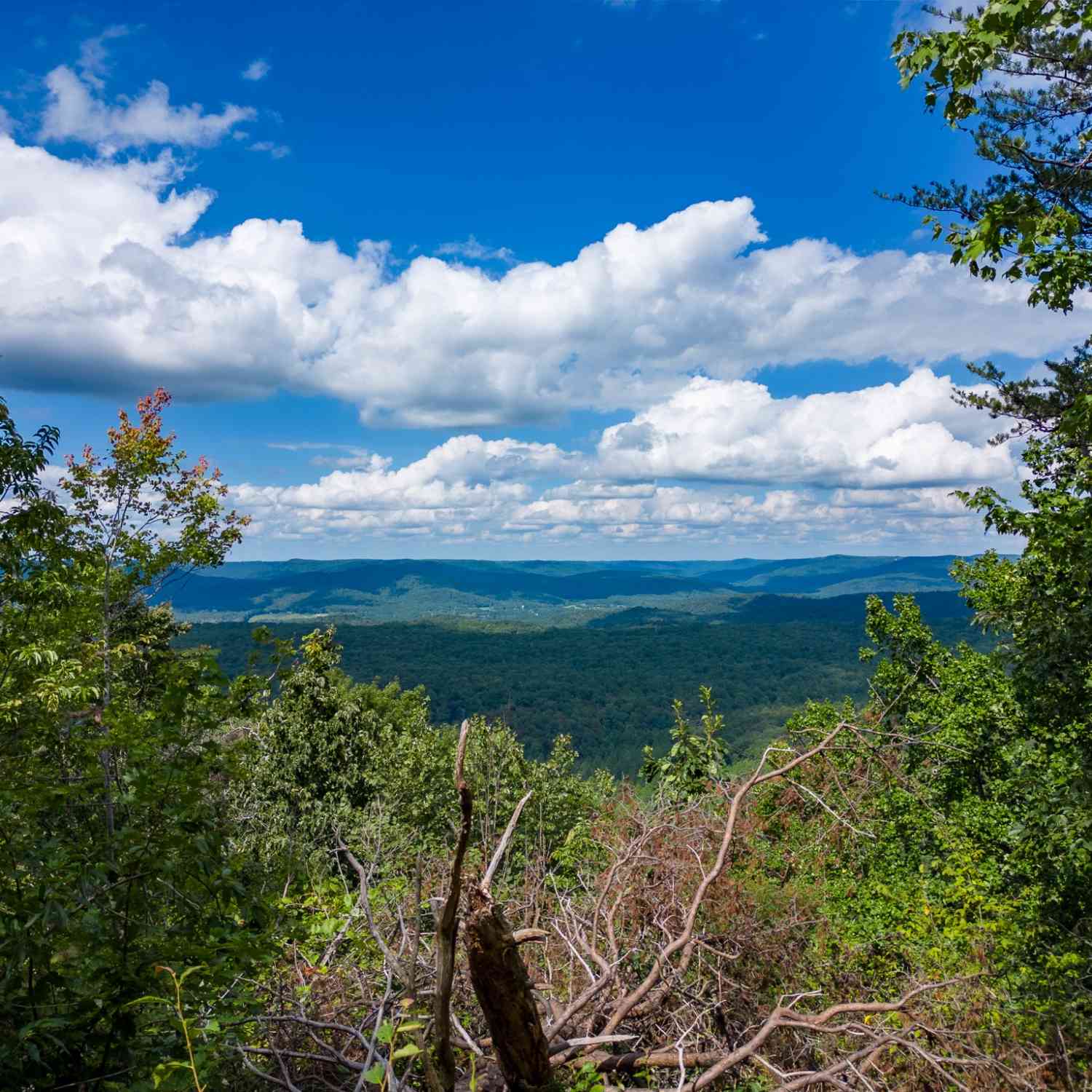 The Bluffs At The Ridge, Sparta, Tennessee image 4