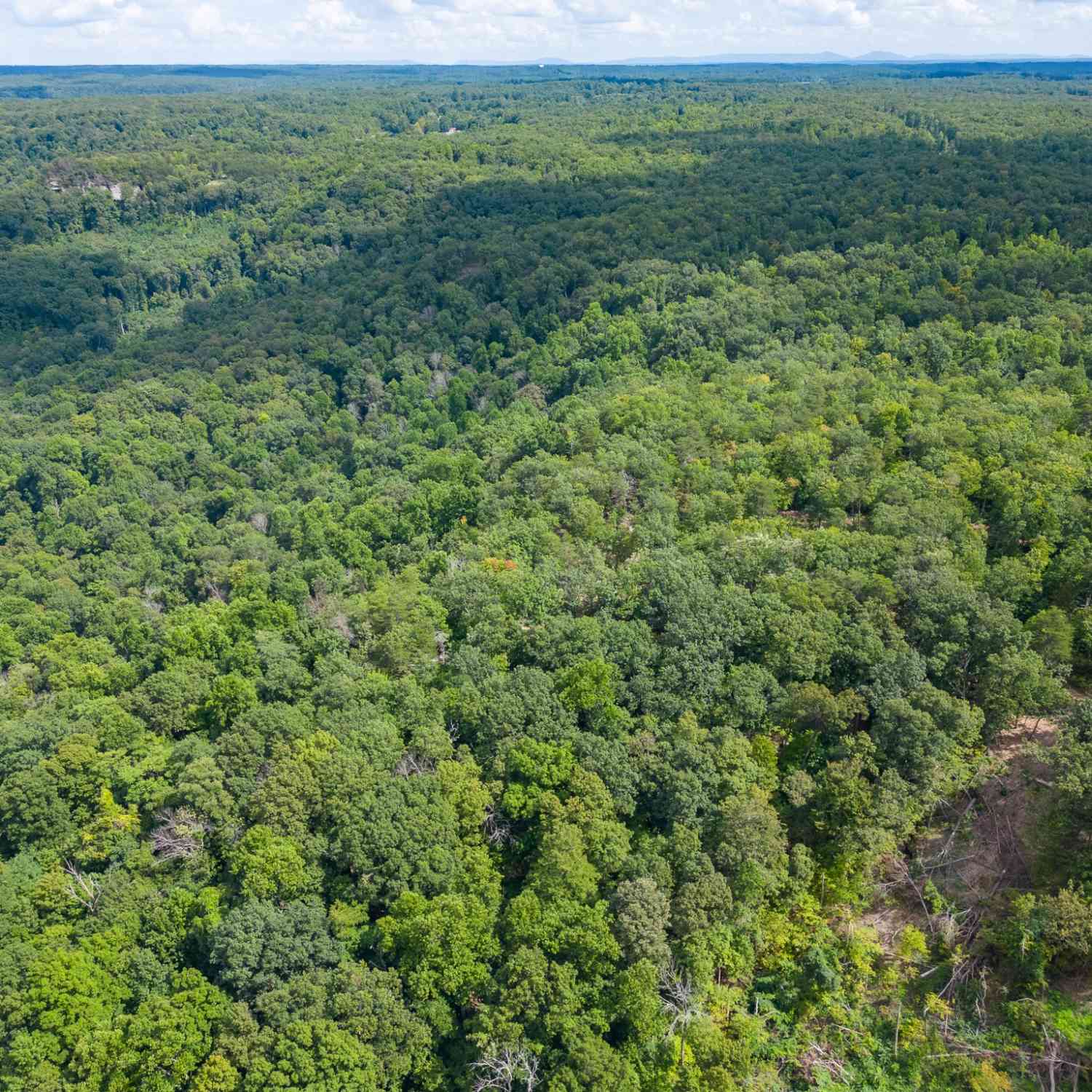 The Bluffs At The Ridge, Sparta, Tennessee image 22