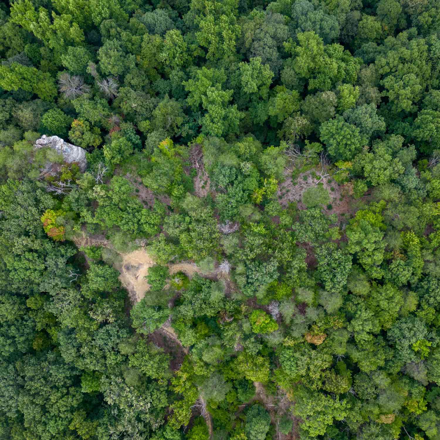 The Bluffs At The Ridge, Sparta, Tennessee image 28