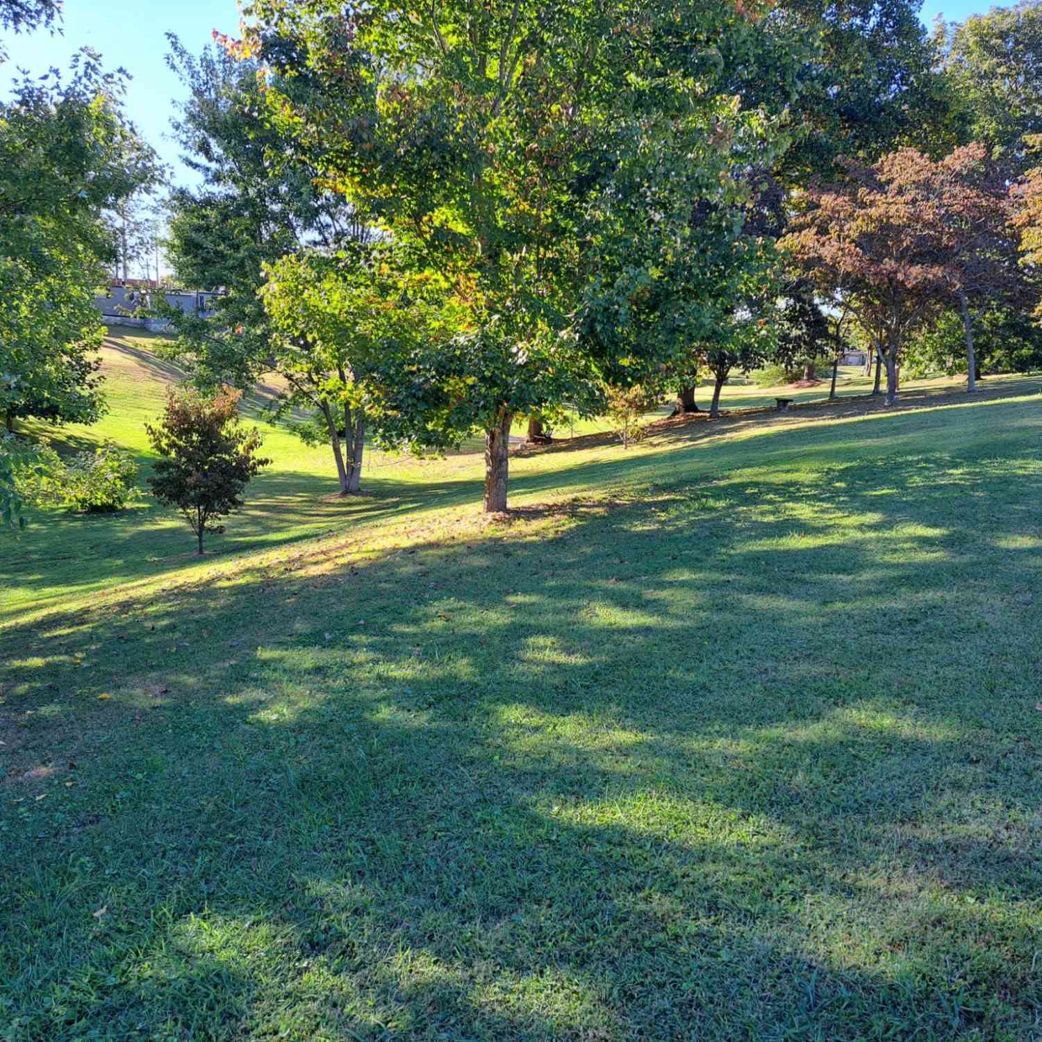 Short Street, Lafayette, Tennessee image 2