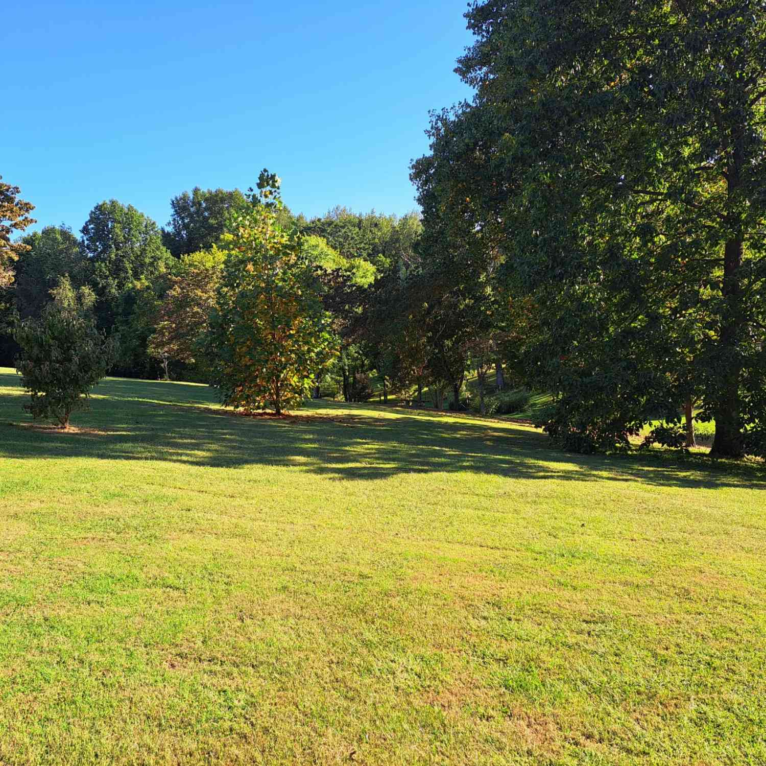 Short Street, Lafayette, Tennessee image 1