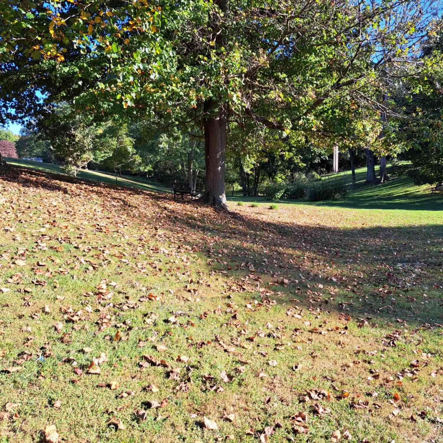 Short Street, Lafayette, Tennessee image 4