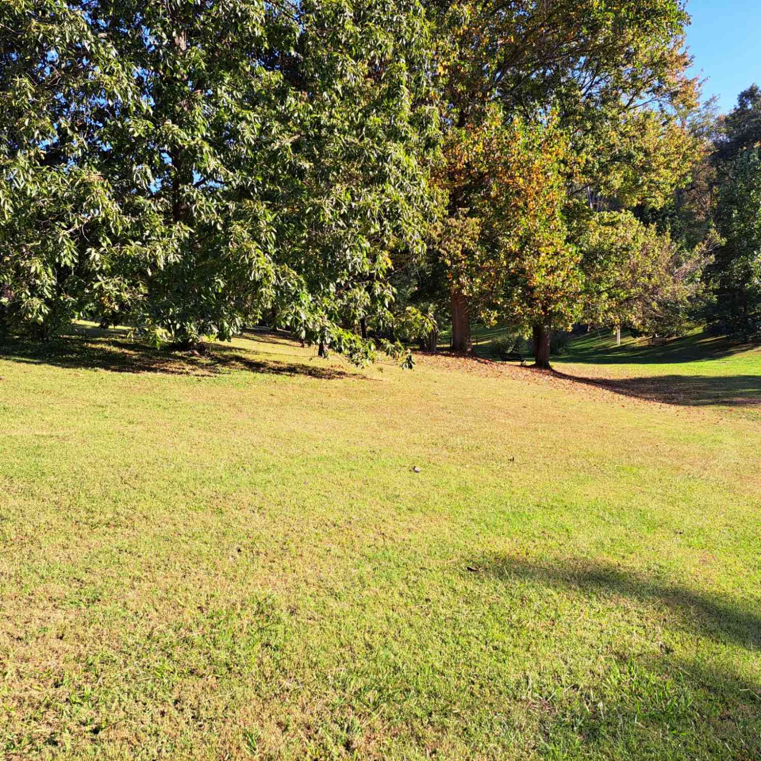 Short Street, Lafayette, Tennessee image 3