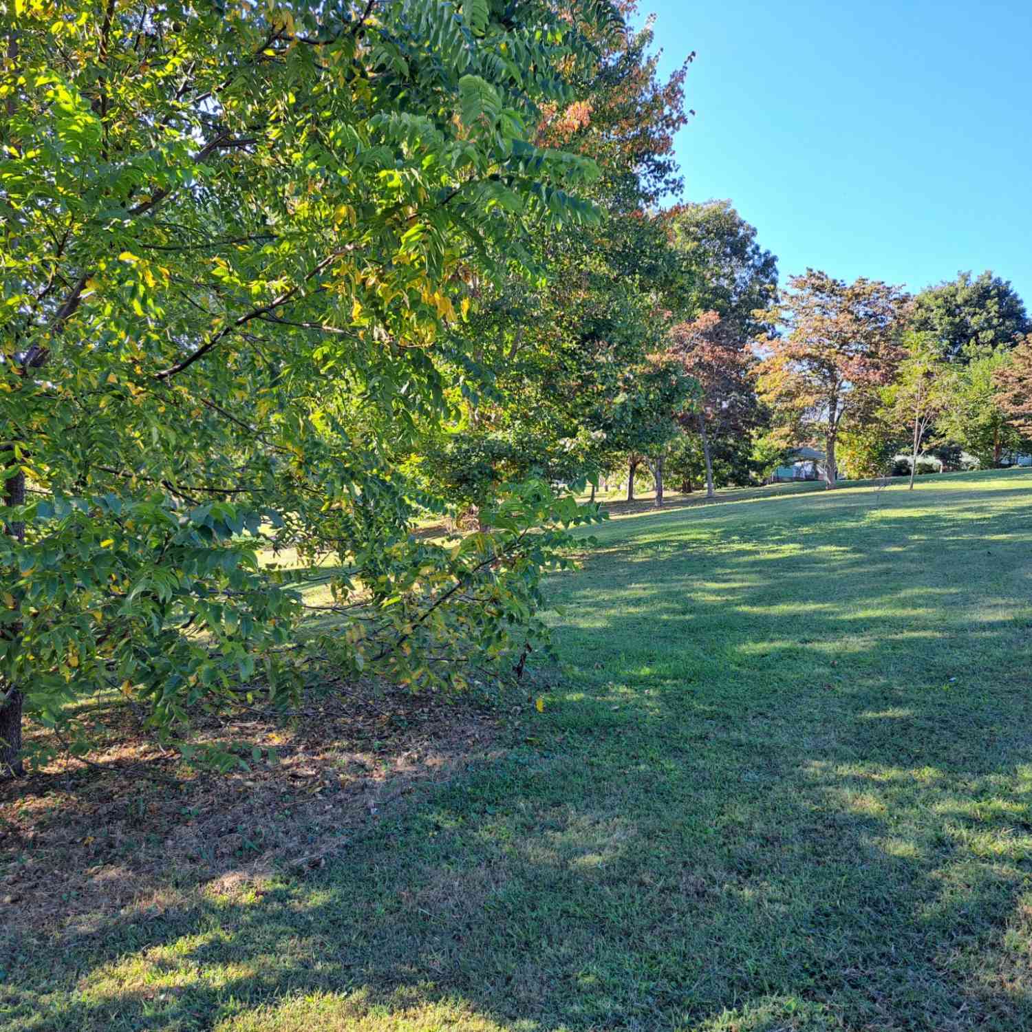 Short Street, Lafayette, Tennessee image 6