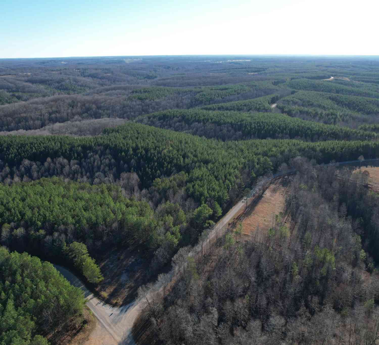 Hudson Rd, Hohenwald, Tennessee image 8