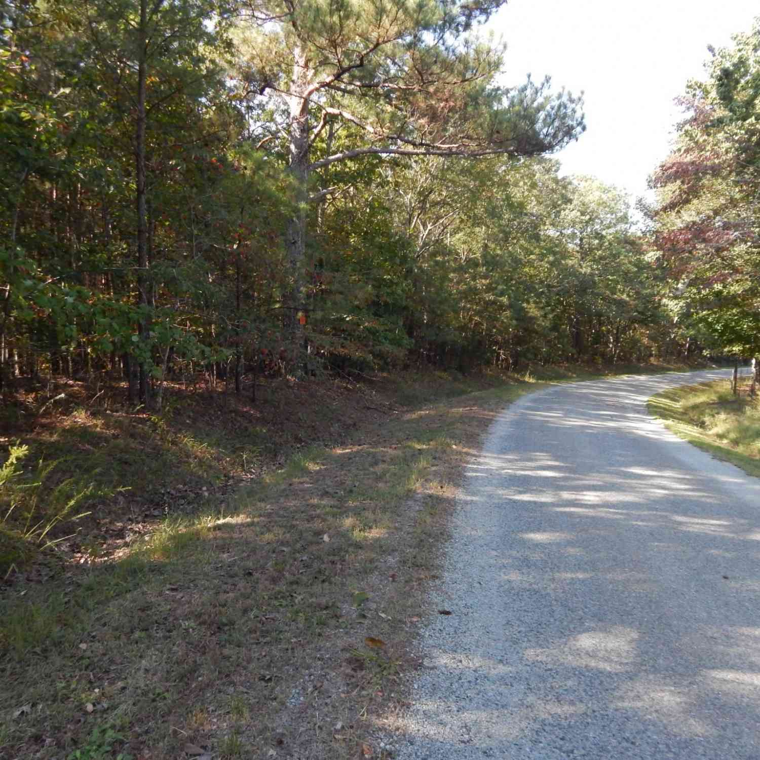 Hudson Rd, Hohenwald, Tennessee image 13