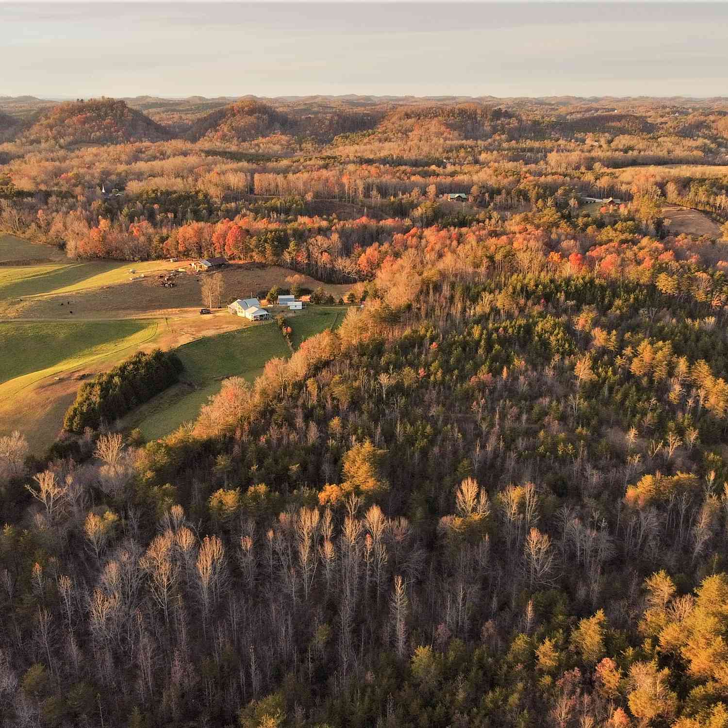 Mountain Ridge, Tellico Plains, Tennessee image 6