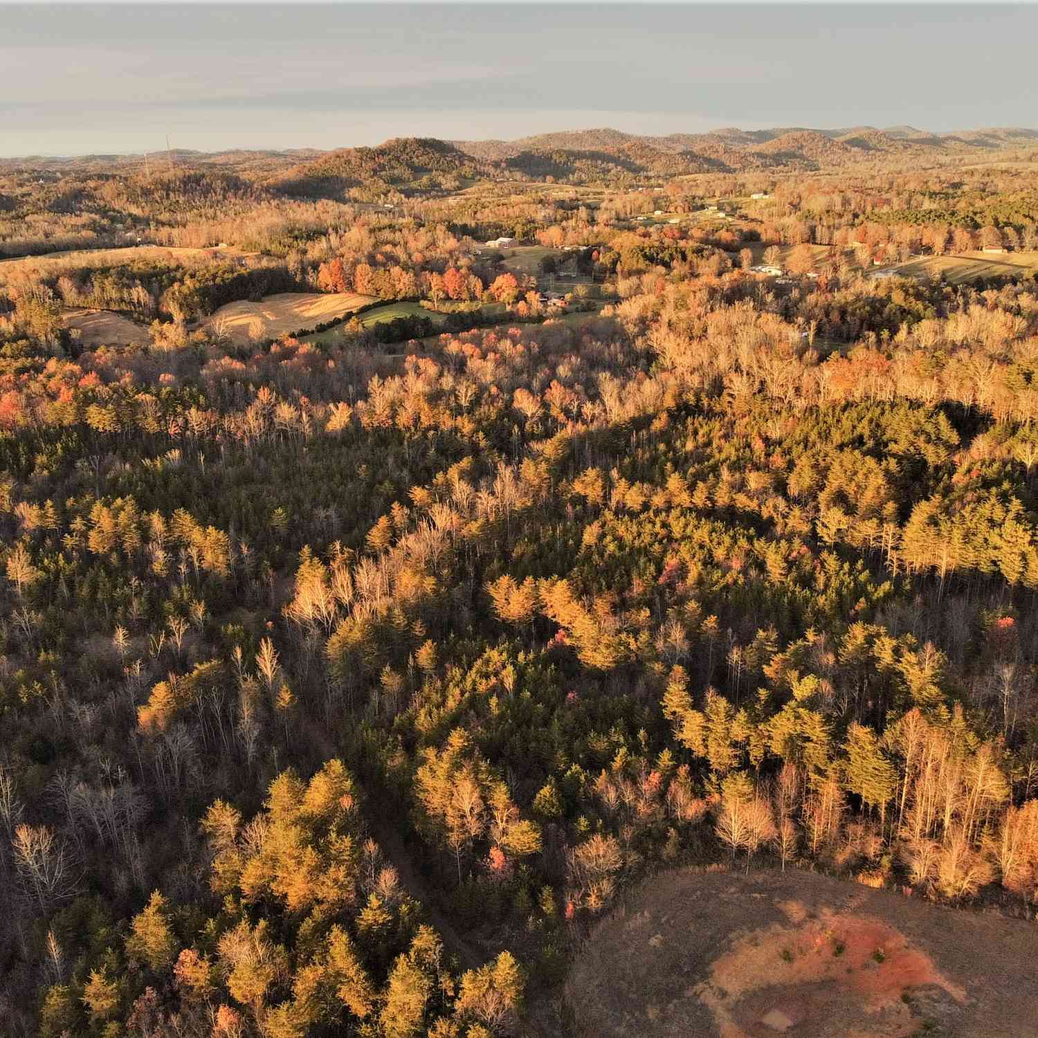 Mountain Ridge, Tellico Plains, Tennessee image 2