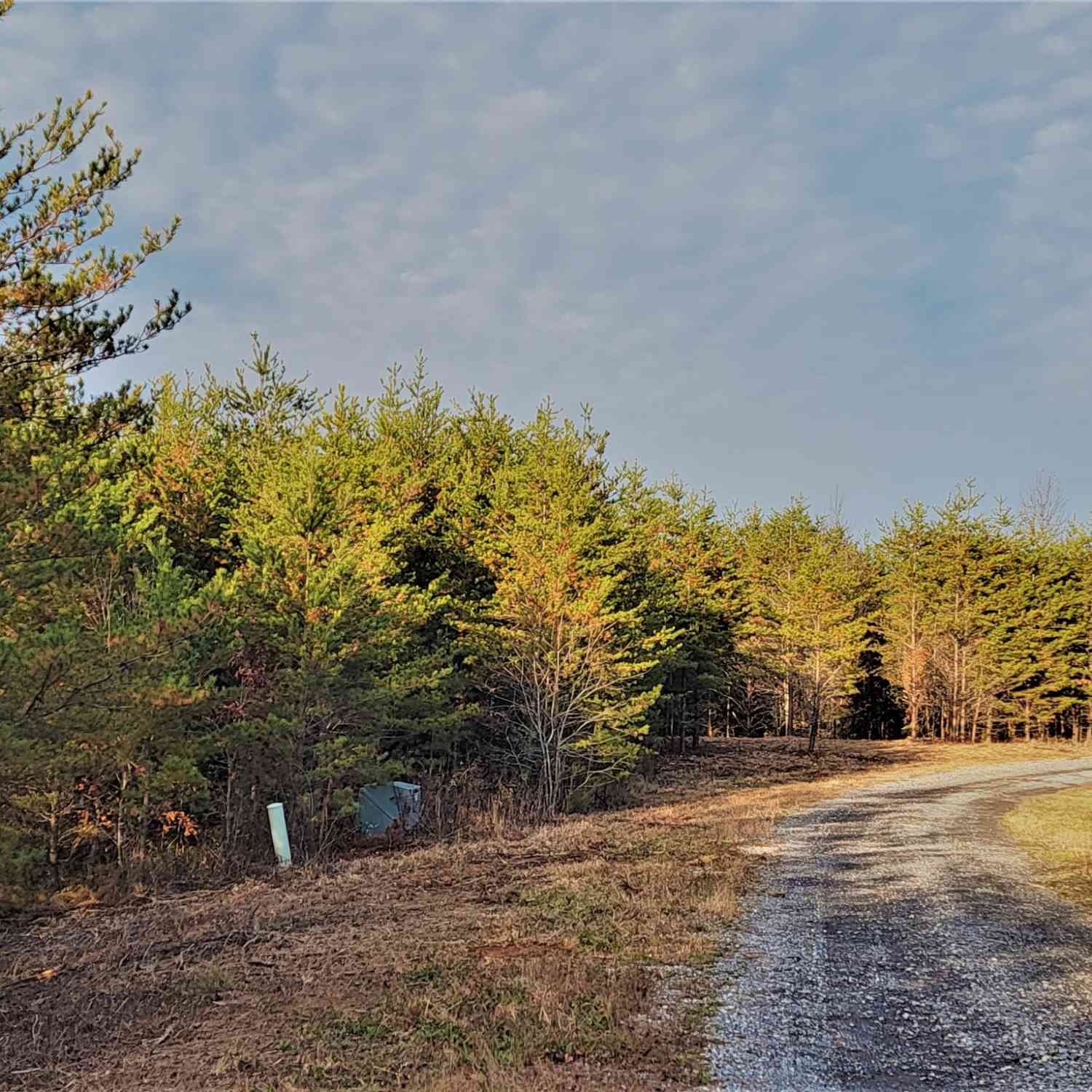 Mountain Ridge, Tellico Plains, Tennessee image 3