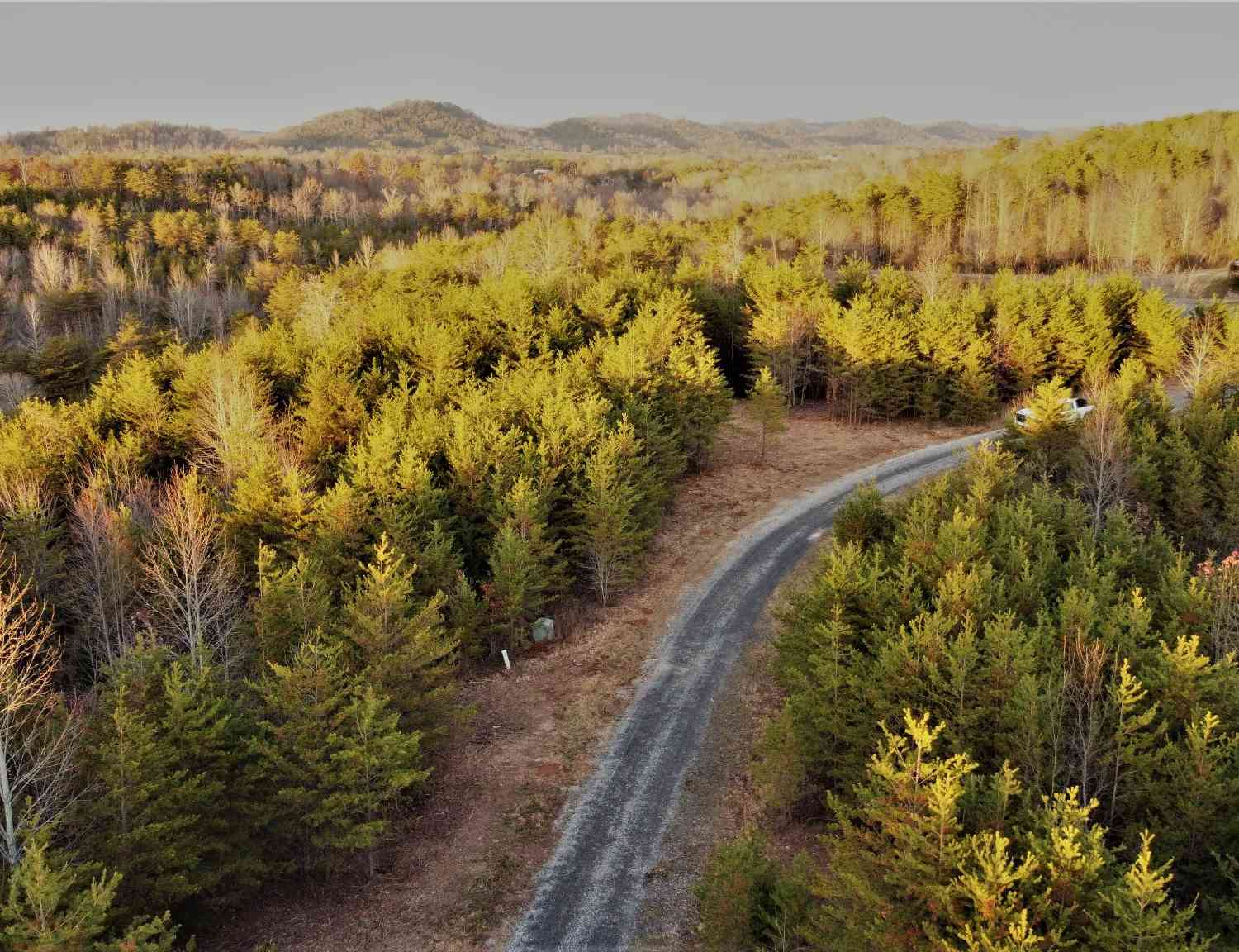 Mountain Ridge, Tellico Plains, Tennessee image 1