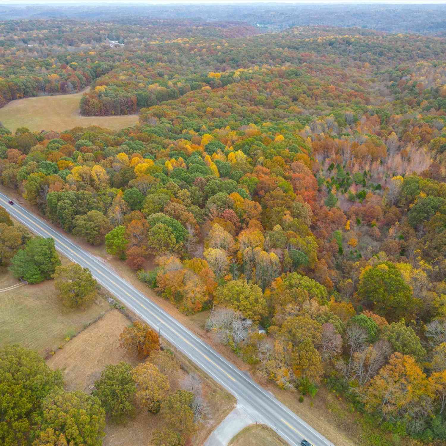 Fairview Blvd, Fairview, Tennessee image 5